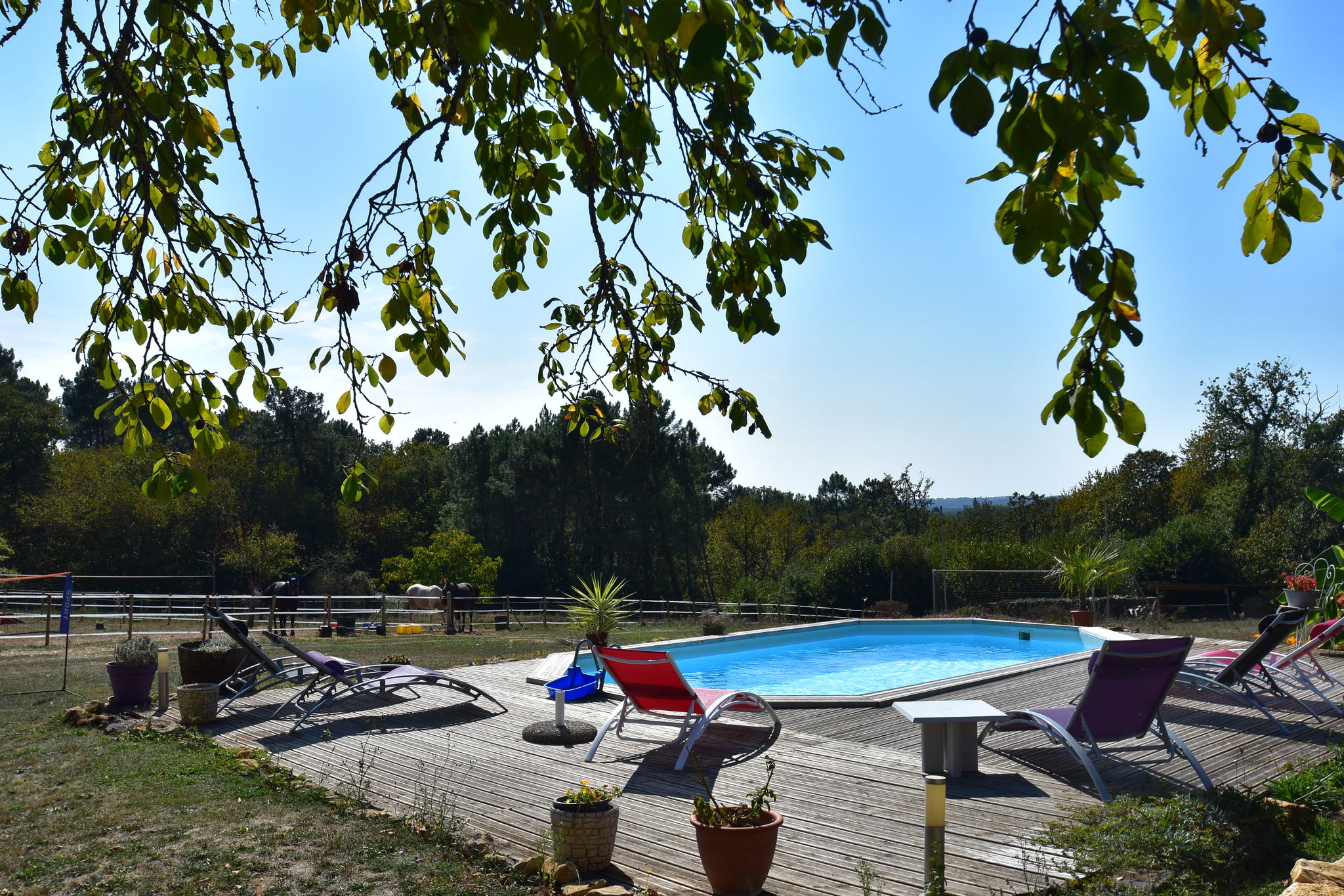 Ferienhaus in der Aquitaine mit Pool und großer Terrasse
