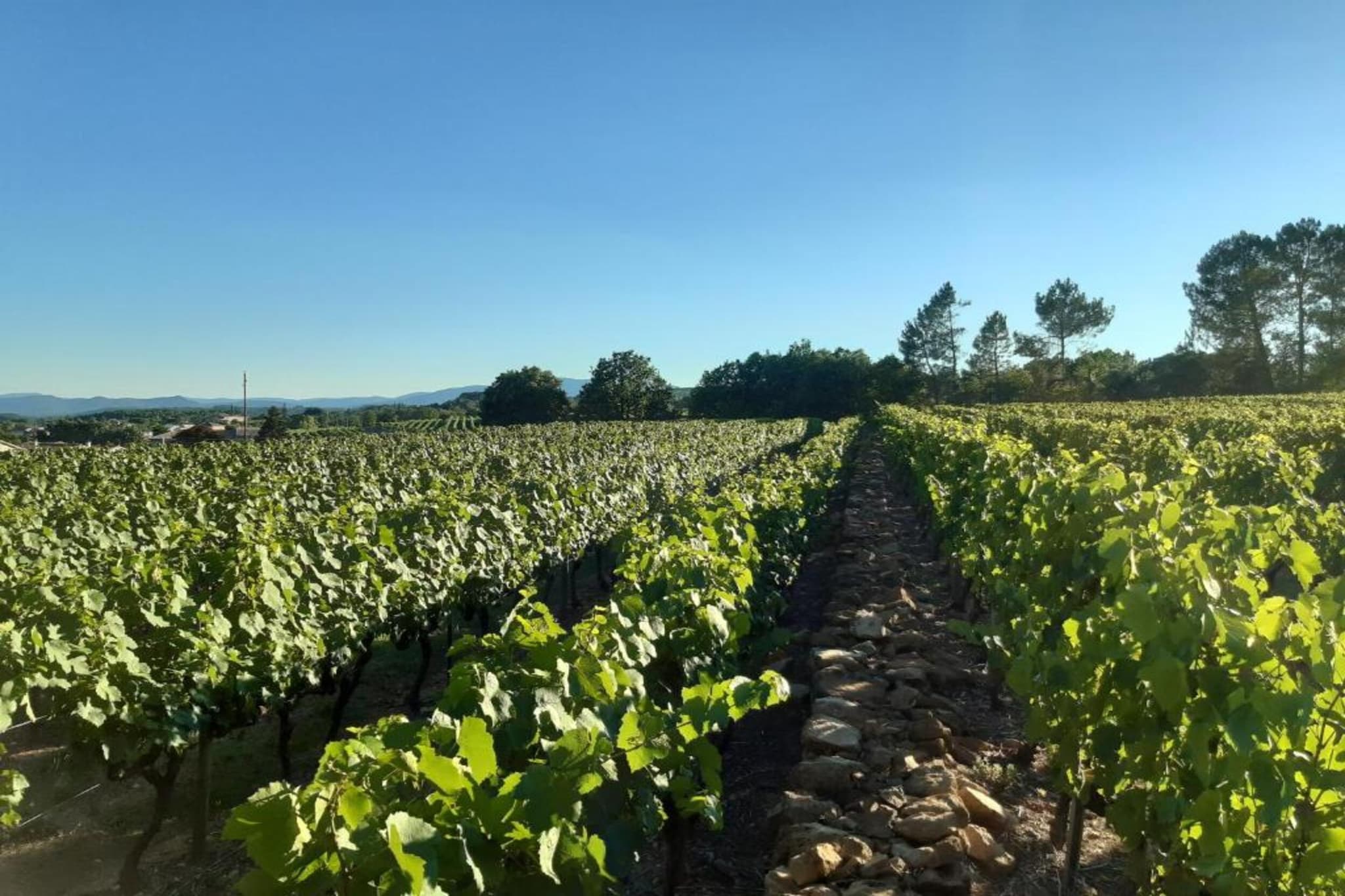 Maison de vacances - Lablachère nord-Zones d'été à 20 km