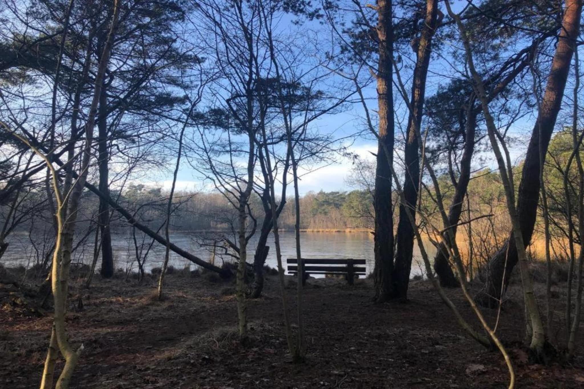 Vakantiepark de Vossenburcht 2-Gebiete Sommer 20 km
