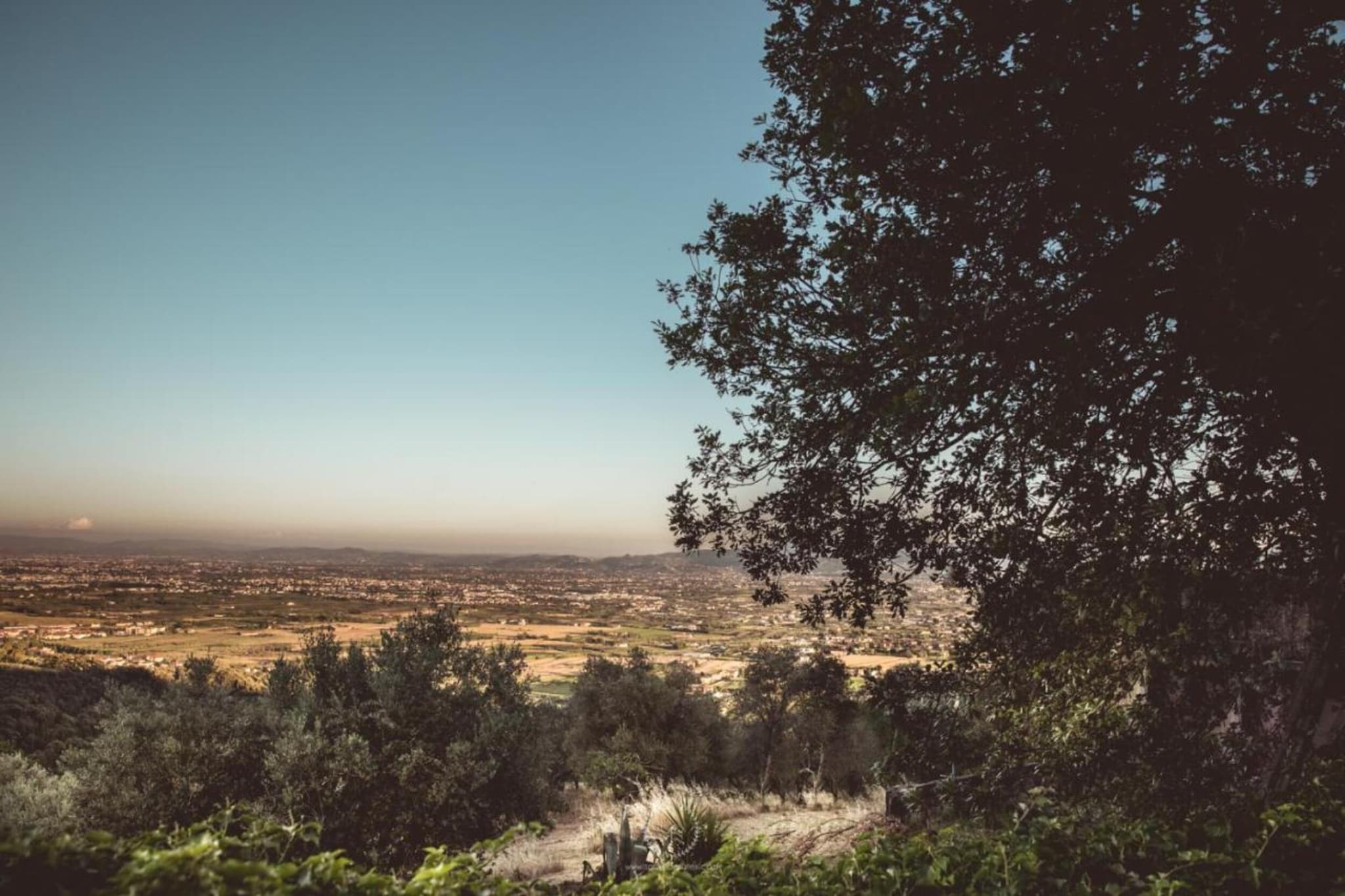 Birilli-Areas summer 20km