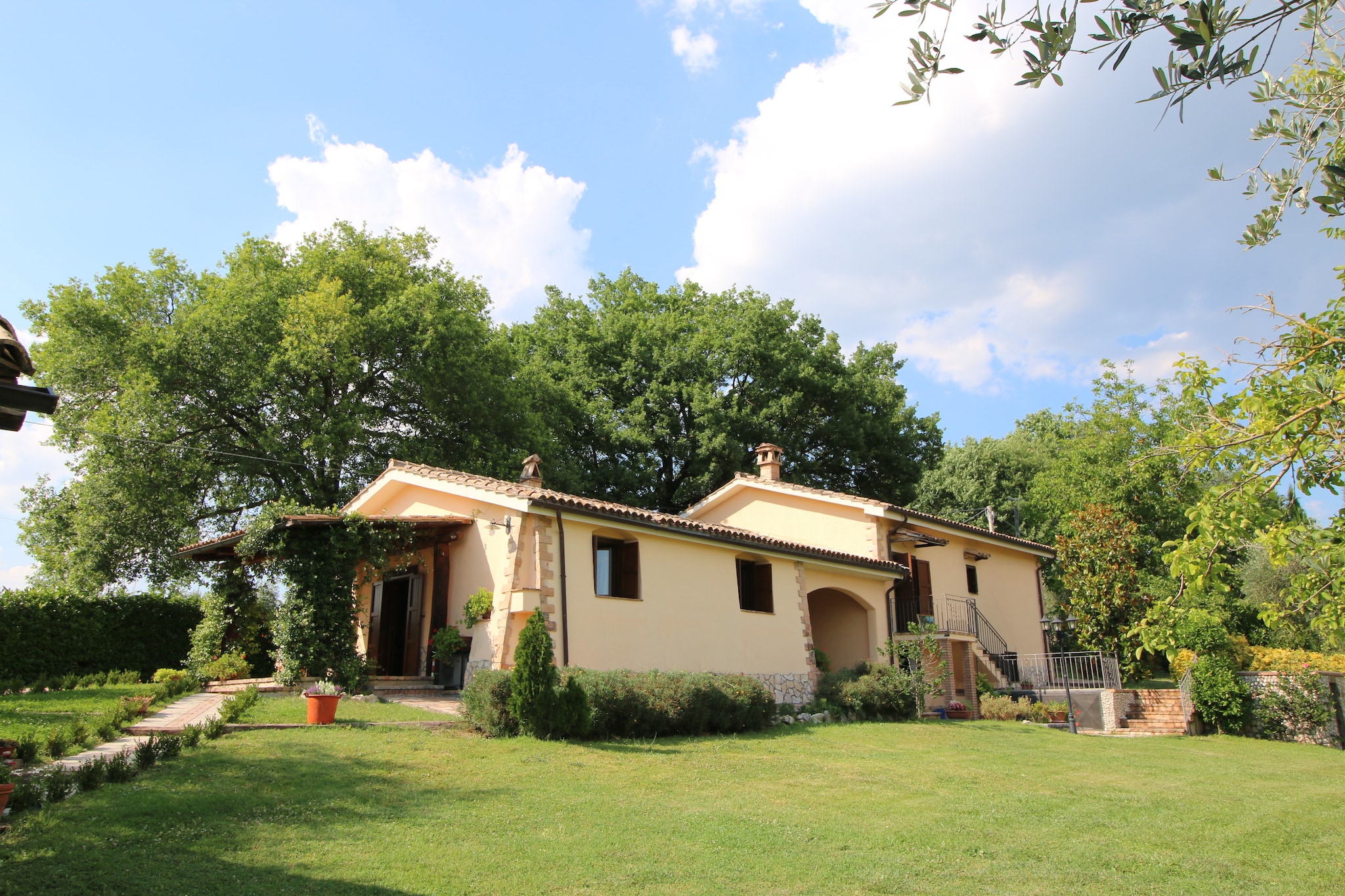 Pino-Exterior summer