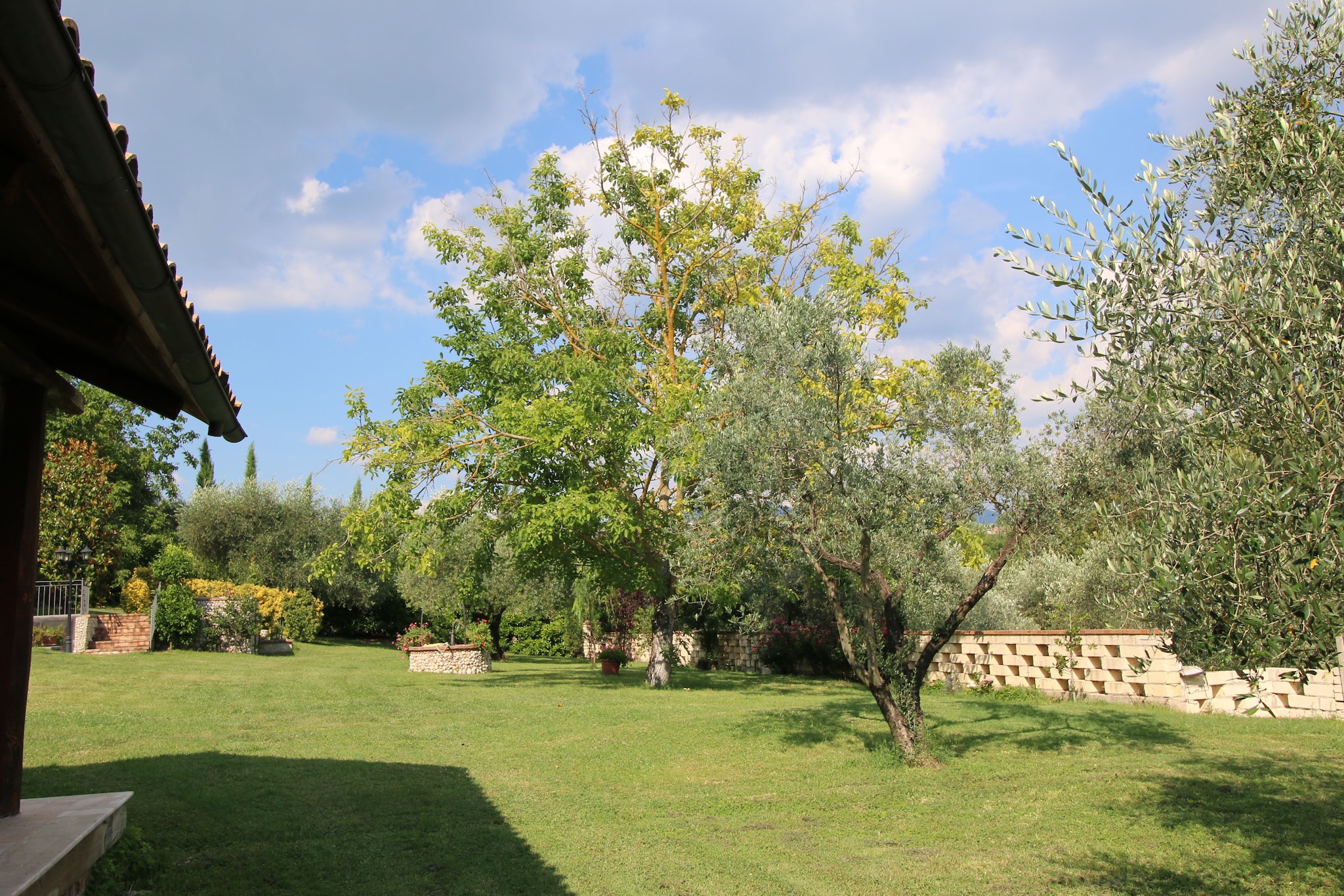 Garden Summer