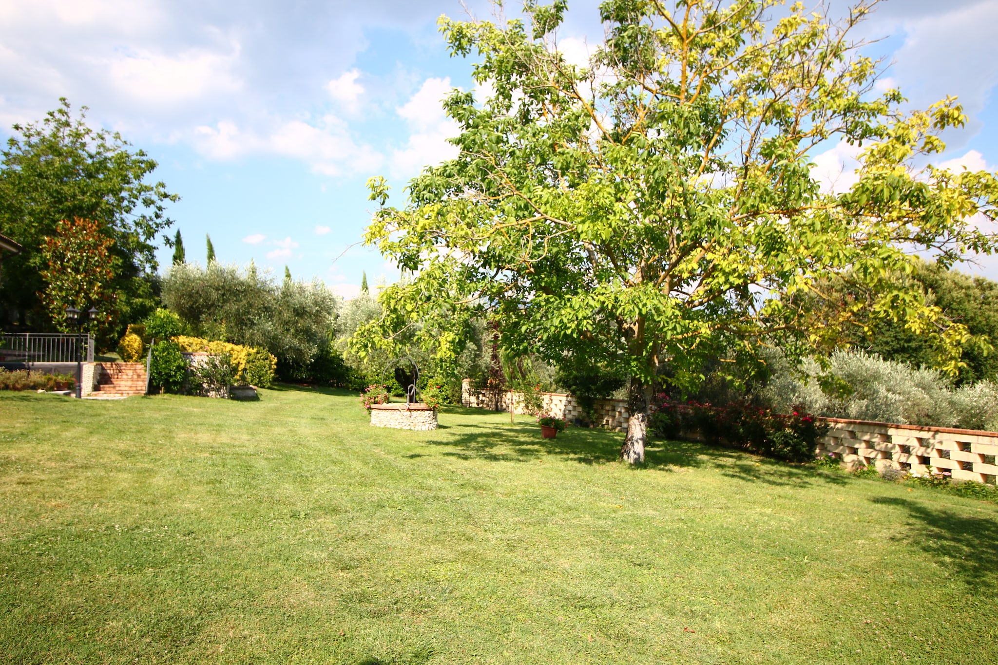 Garden Summer