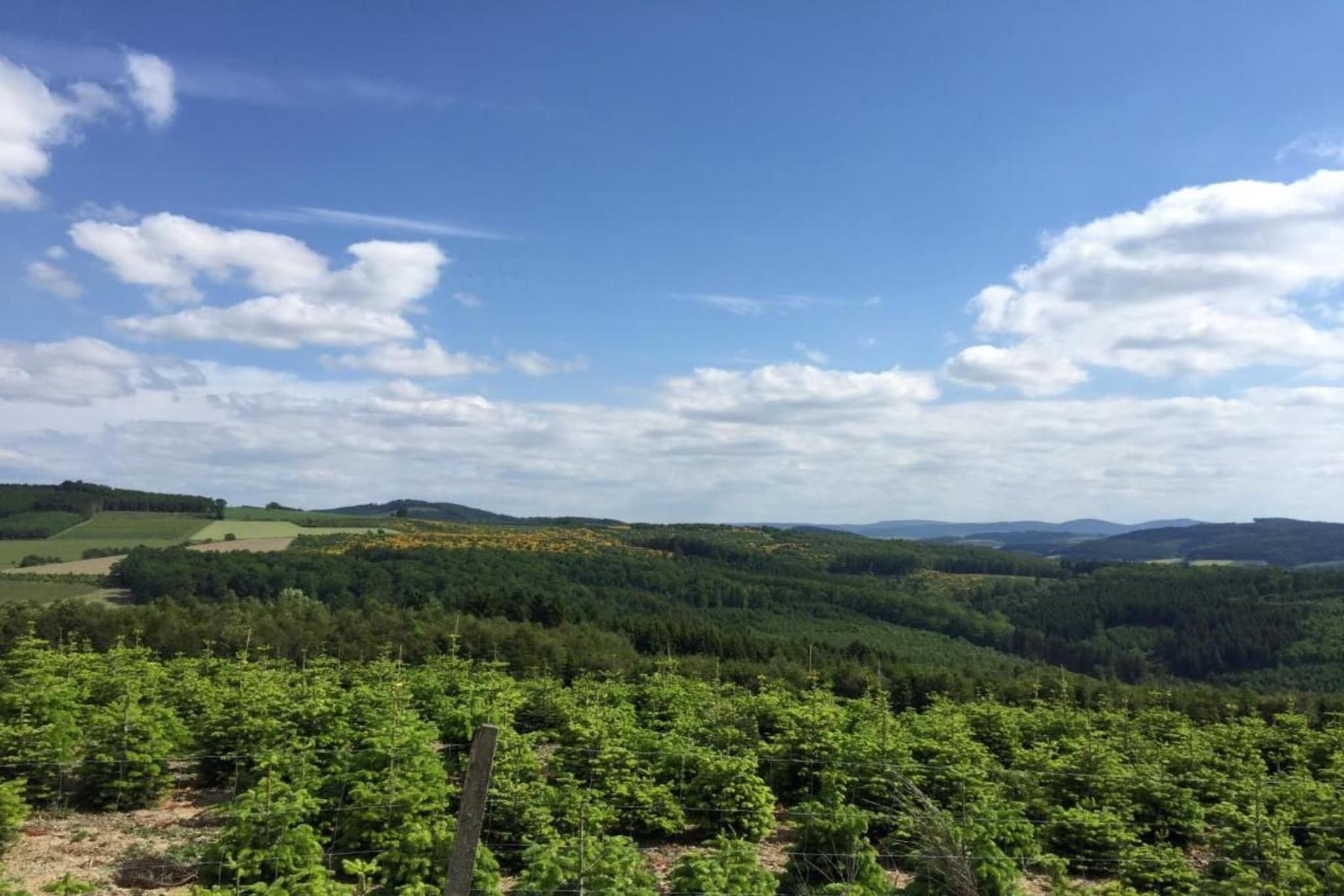 Sauerlandstuben-Gebieden zomer 20km
