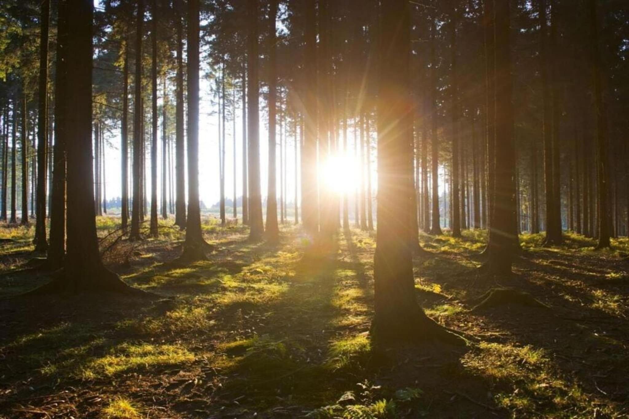 Sauerlandstuben-Gebieden zomer 20km