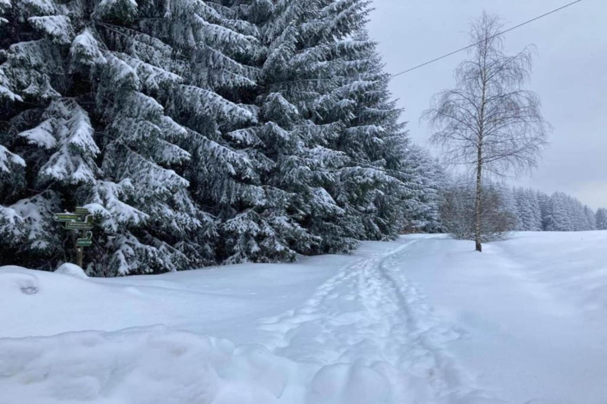 Dorothea-Gebied winter 5km