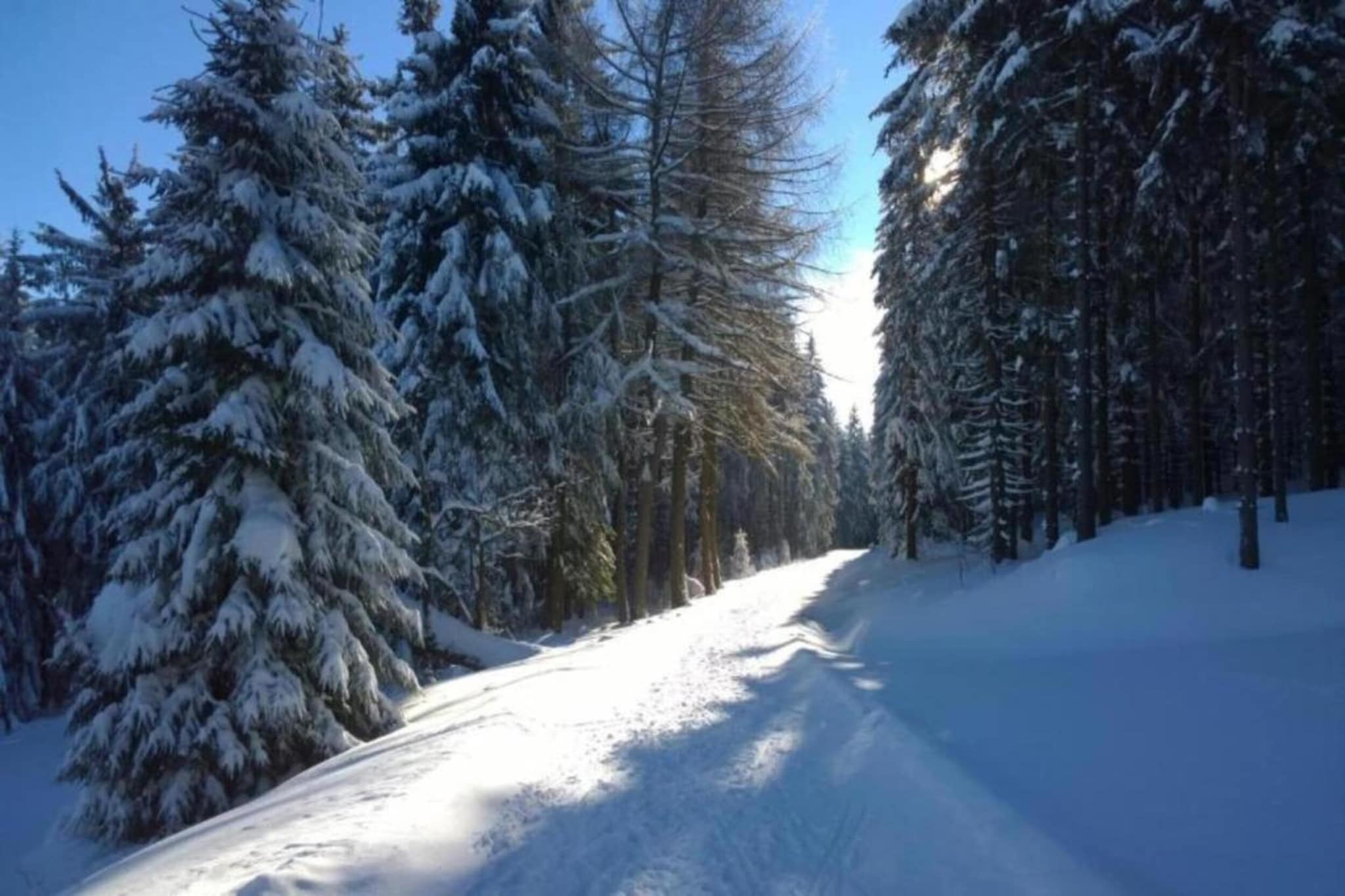 Dorothea-Gebied winter 5km
