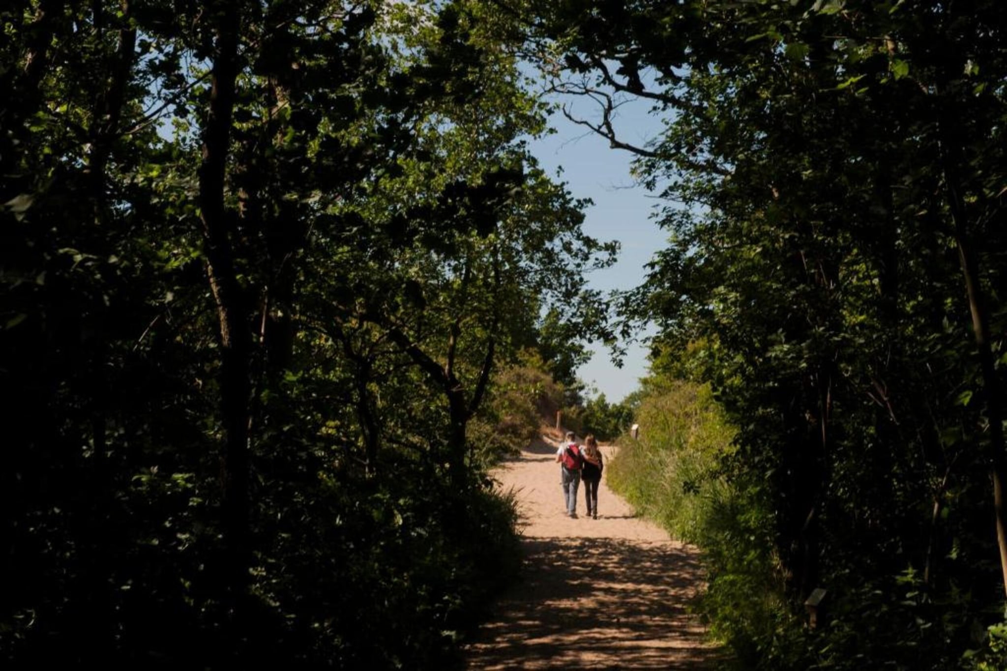 Etoile de Mer 1-Gebieden zomer 1km
