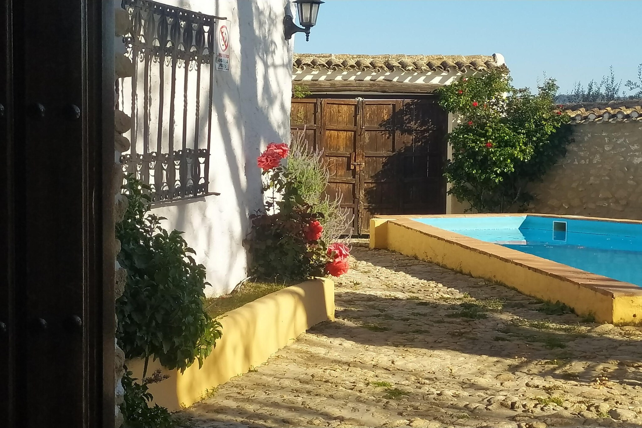 Pool Of House