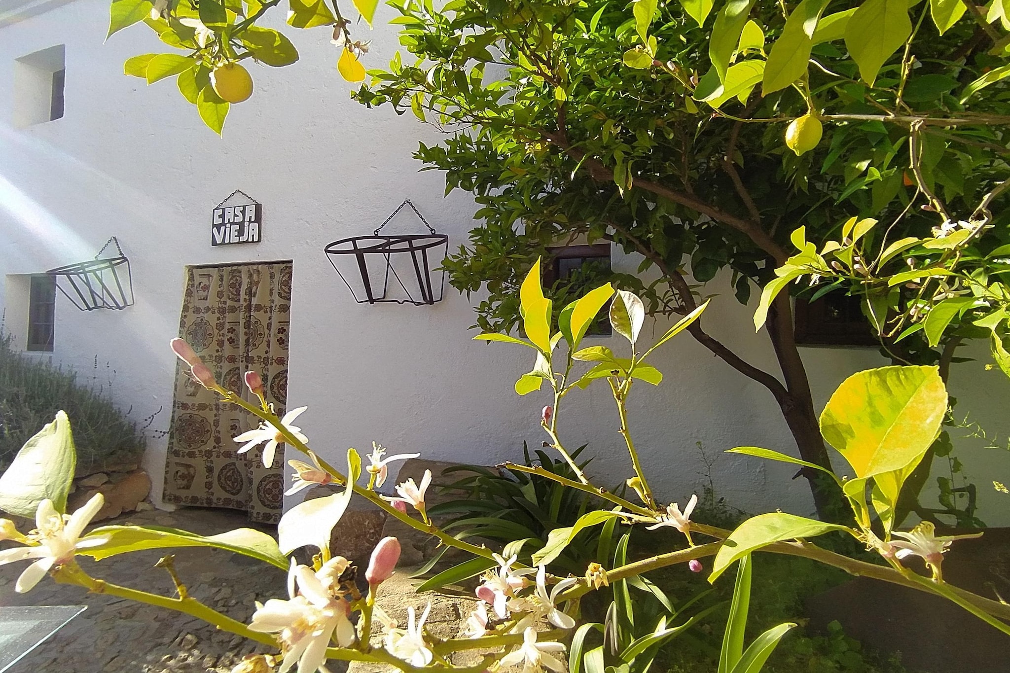 Exterior Summer
