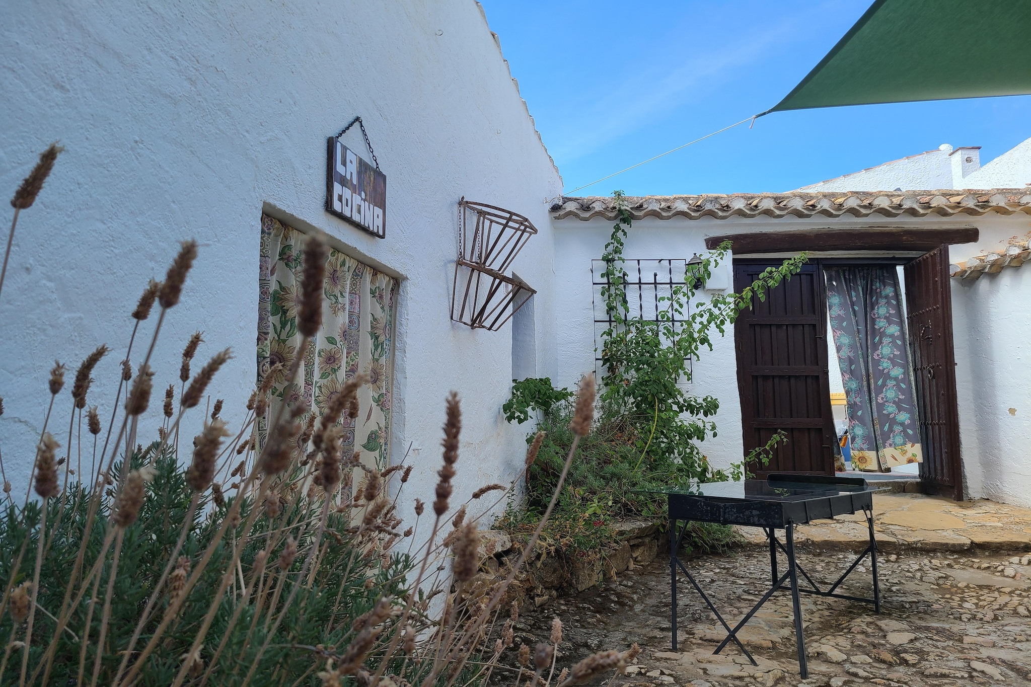 Exterior Summer