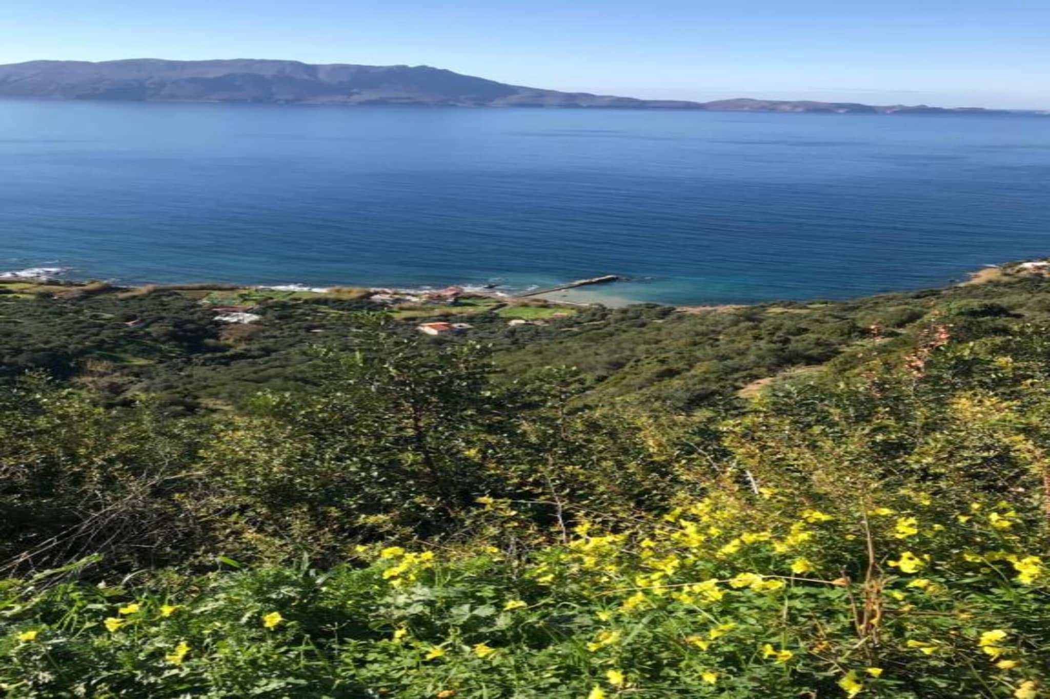 Seaview Studio 1-Areas summer 5km
