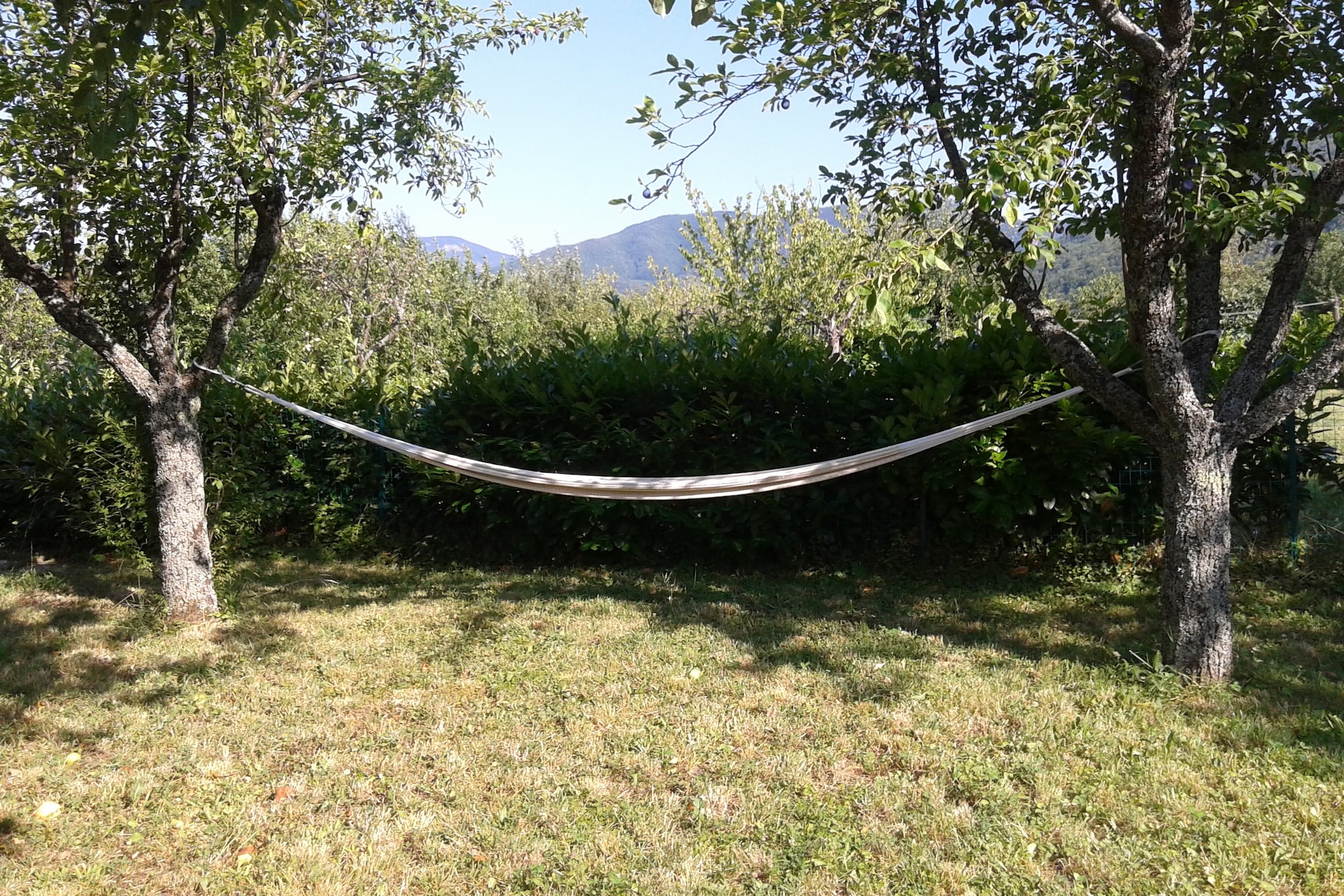 Casa Via Pieve-Gardens summer