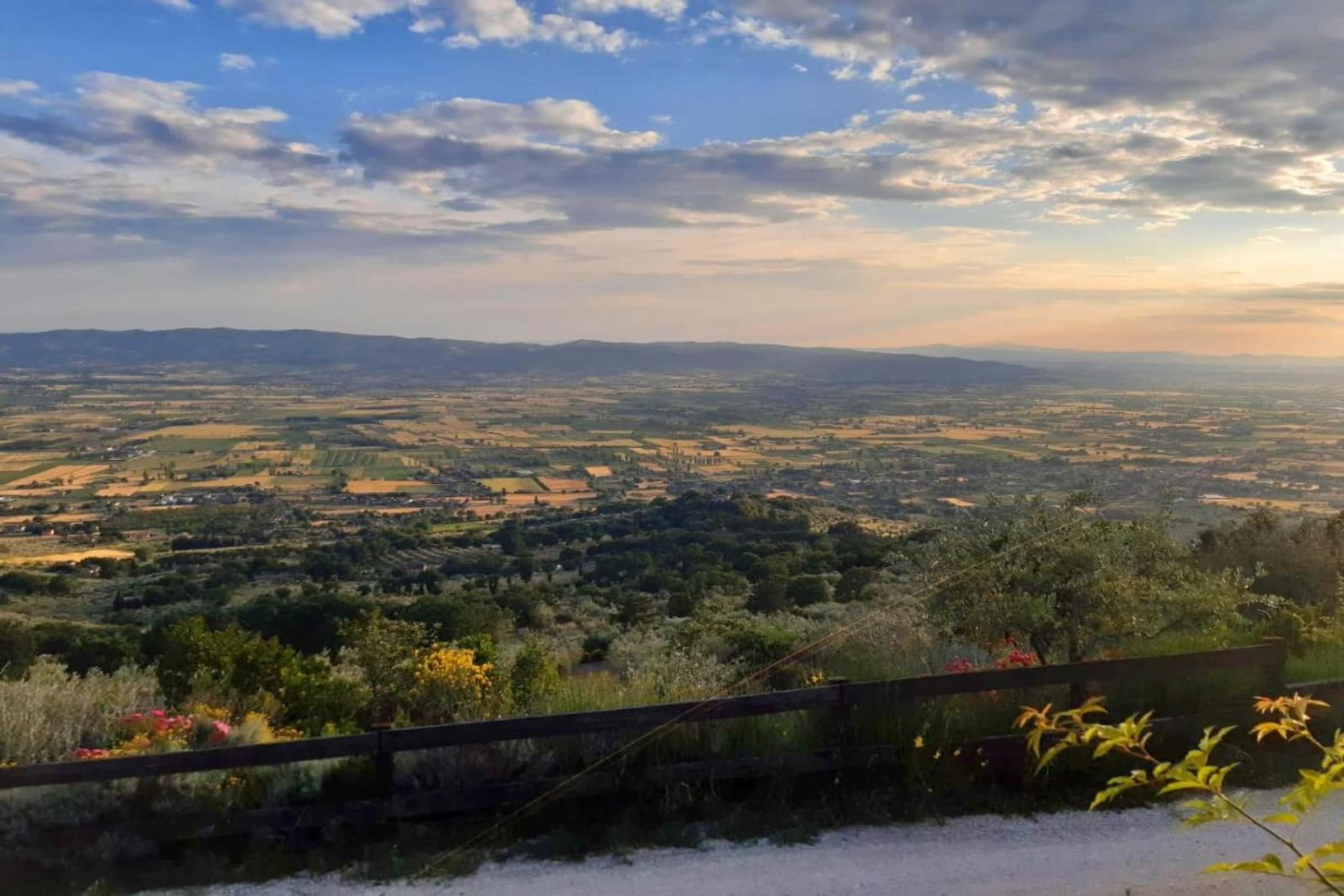 Fiordalisi-Gebieden zomer 20km