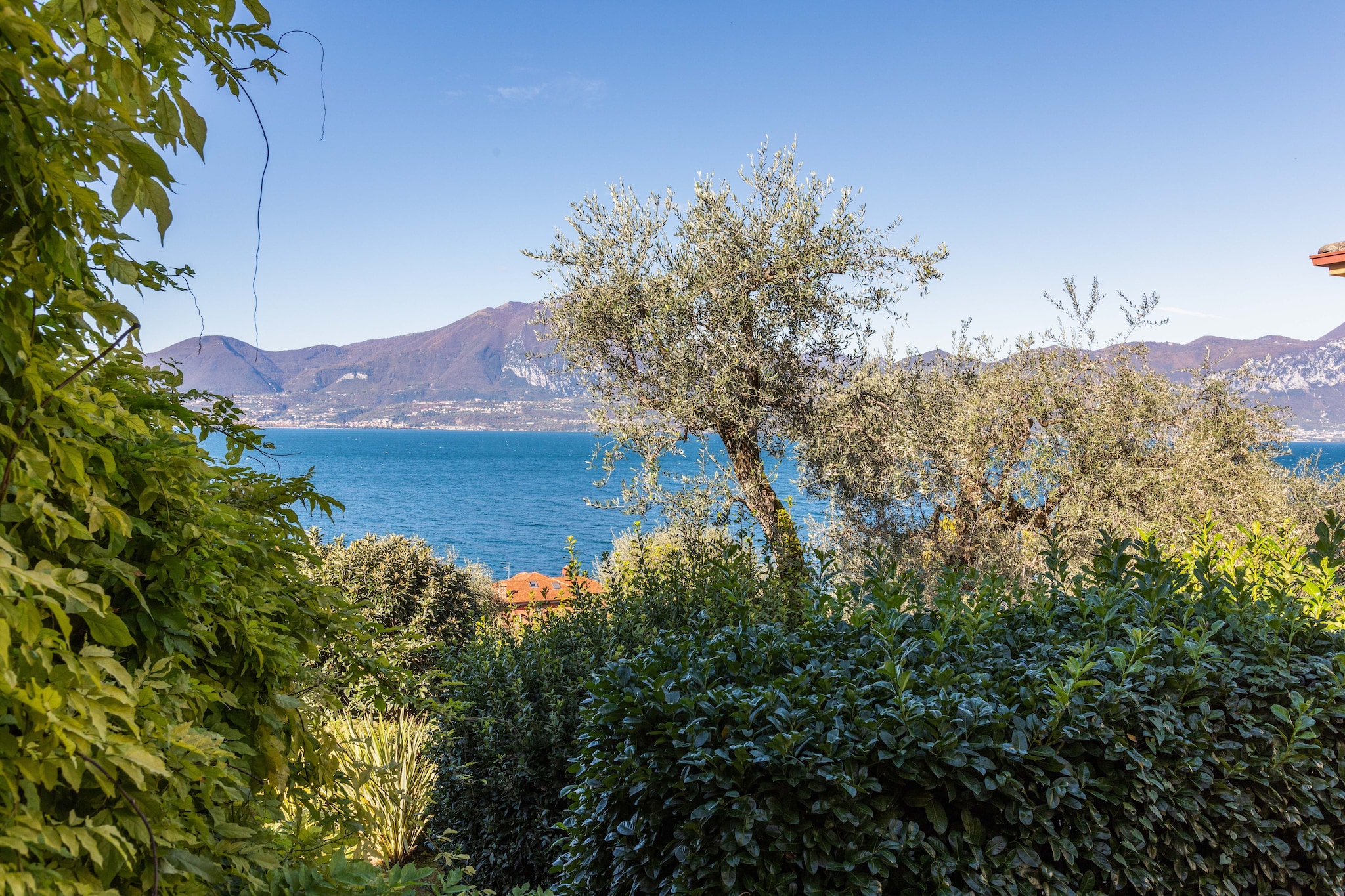 View Summer