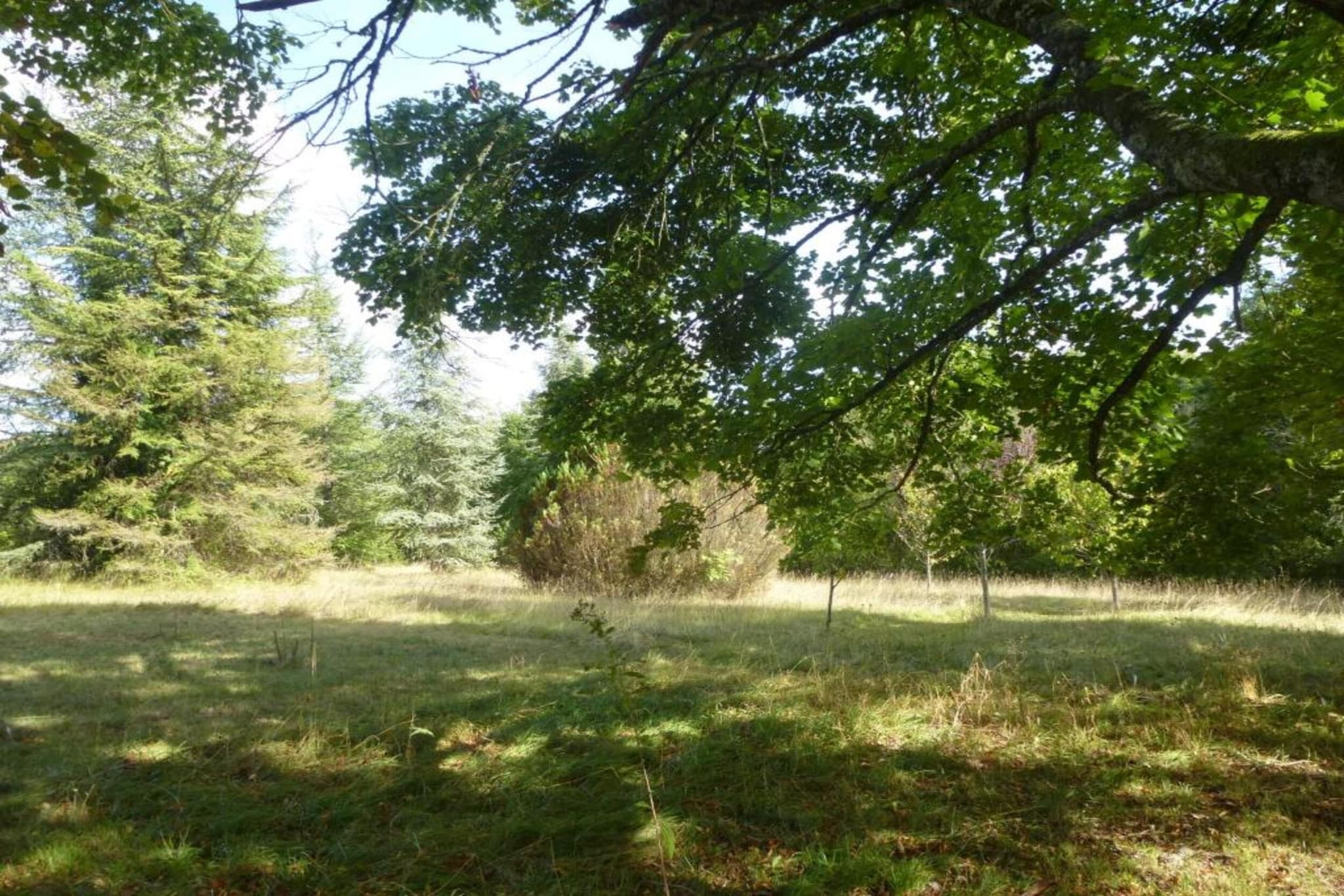 Maison de vacances Lusignac gastverblijf-Gebieden zomer 5km