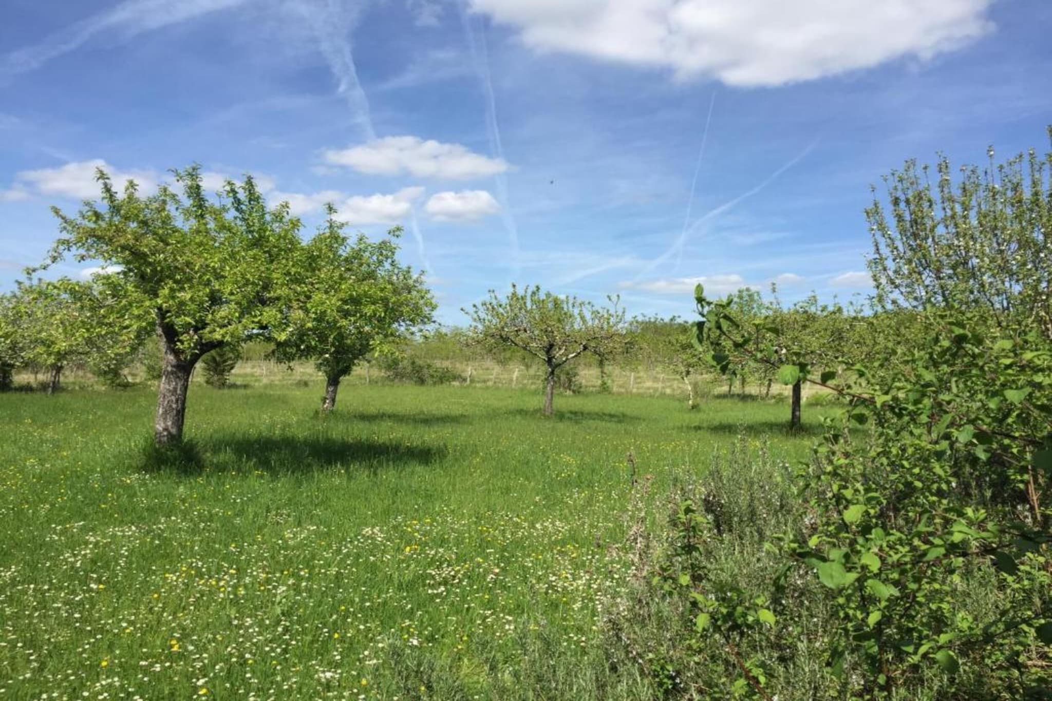 Maison de vacances Lusignac gastverblijf-Gebieden zomer 5km