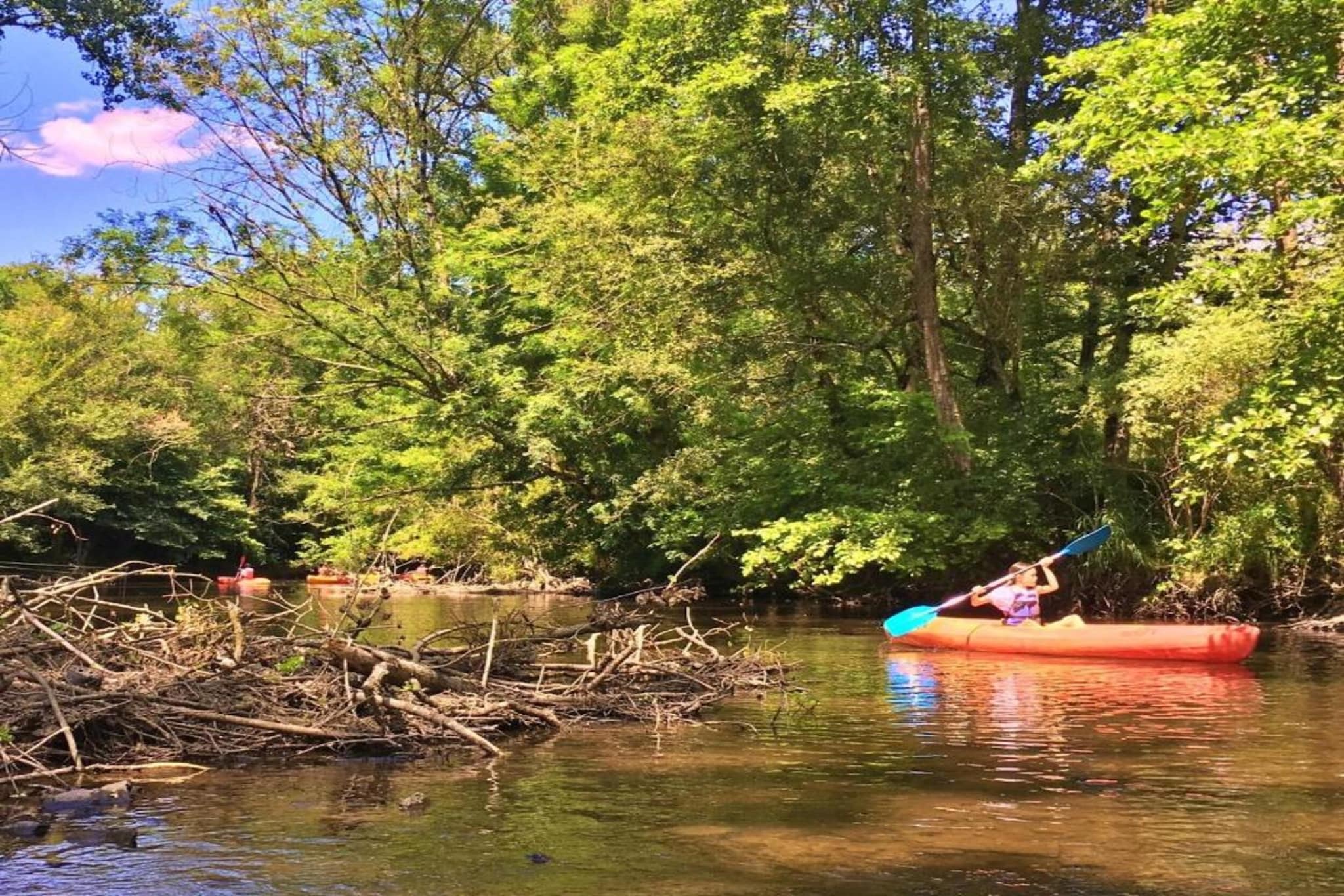 La Haute Prèze 34 près de la Dordogne-Gebieden zomer 20km