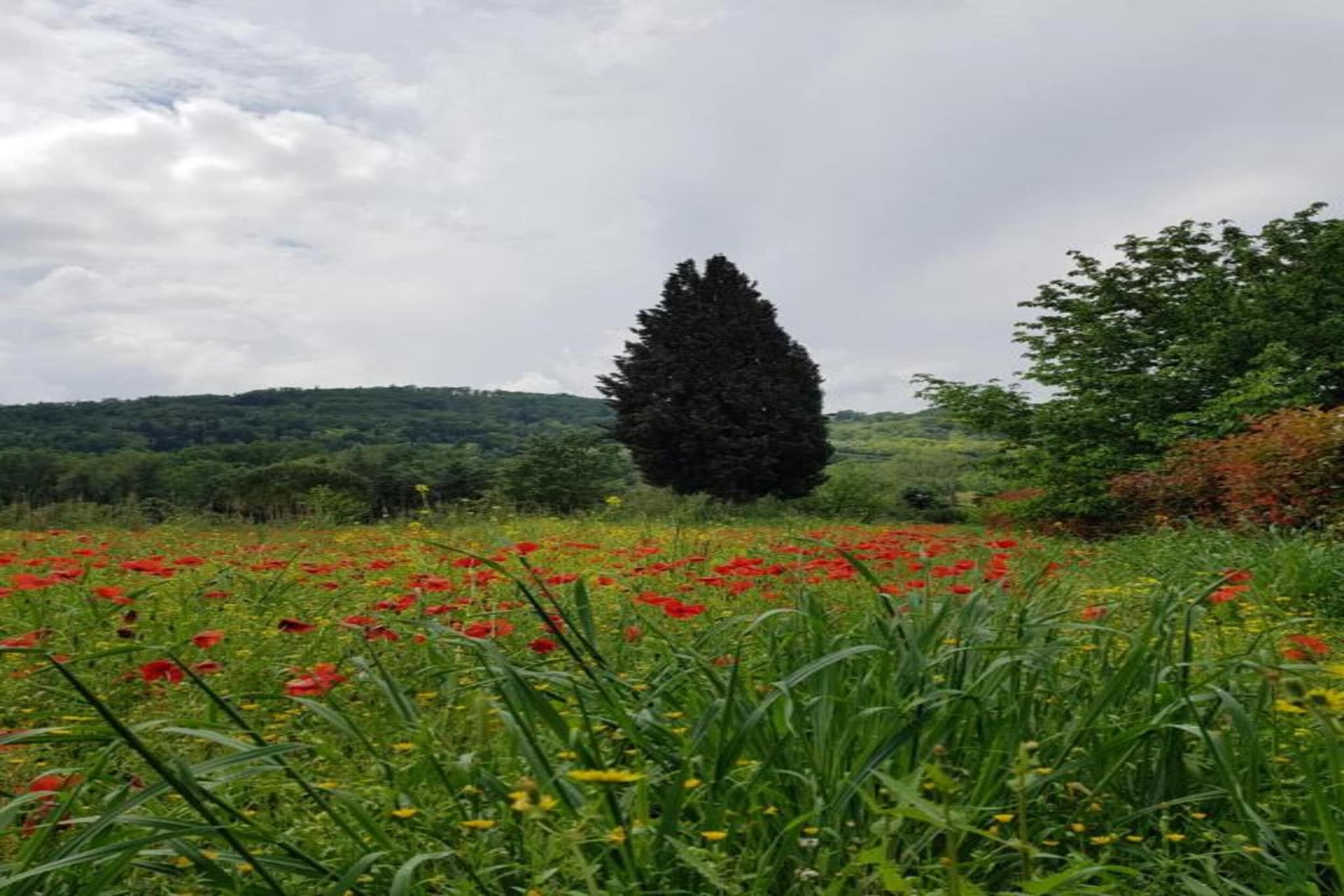 Chianti Village Morrocco B4-Areas summer 5km