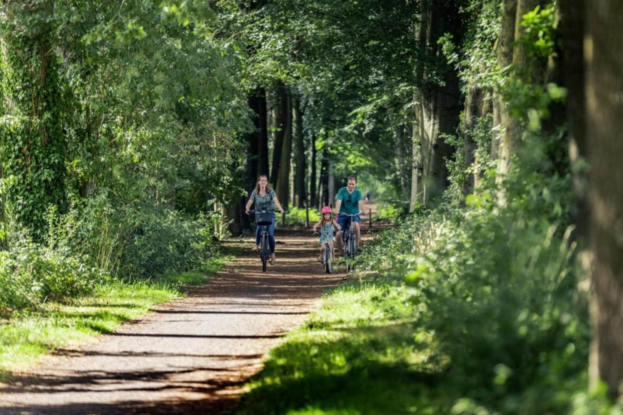 Casteeldoorn-Areas summer 20km