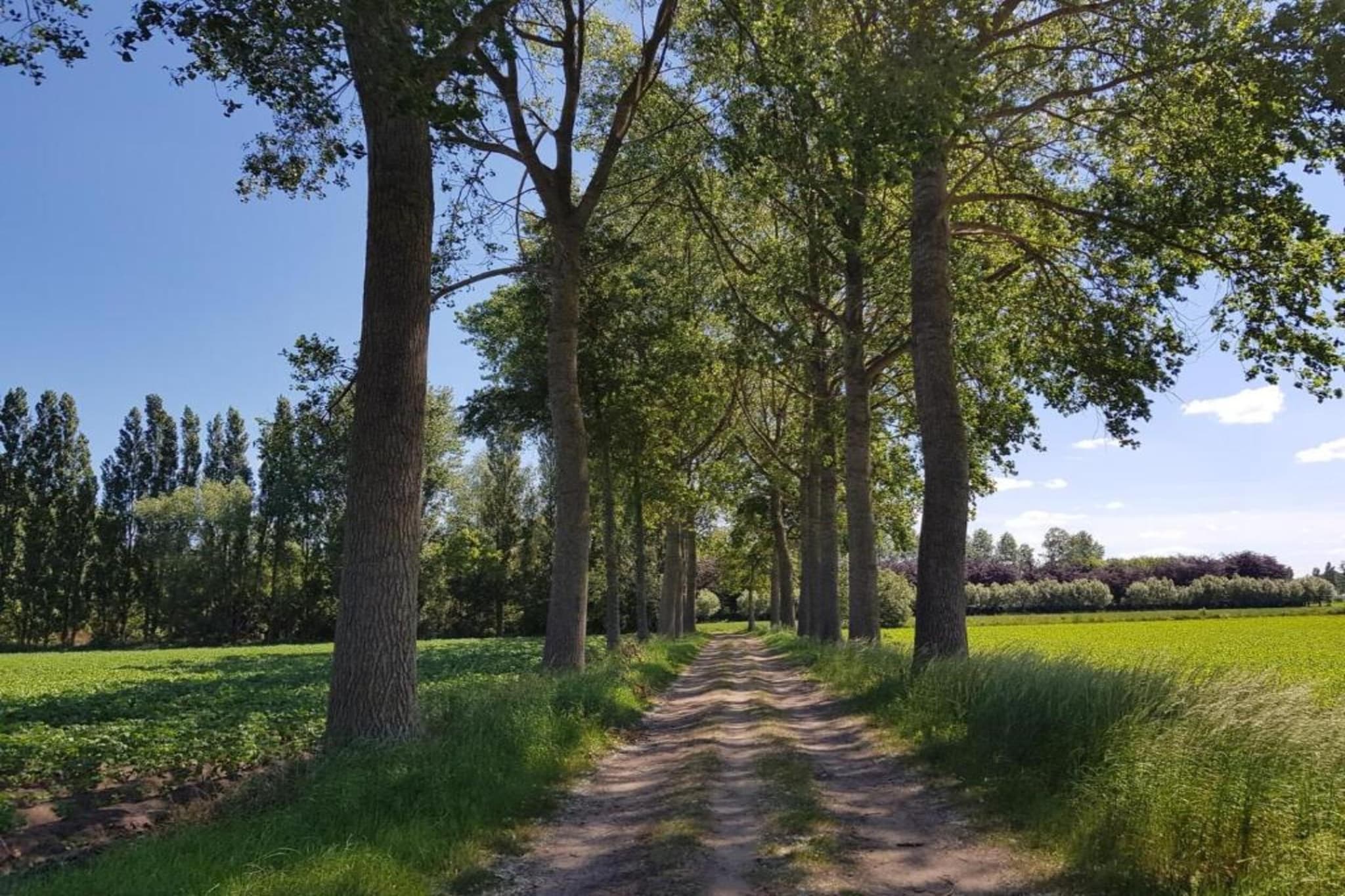 Casteeldoorn-Areas summer 20km