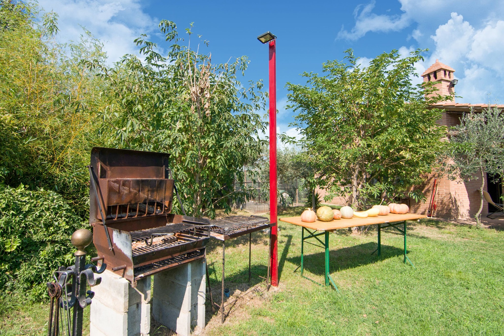Garden Summer