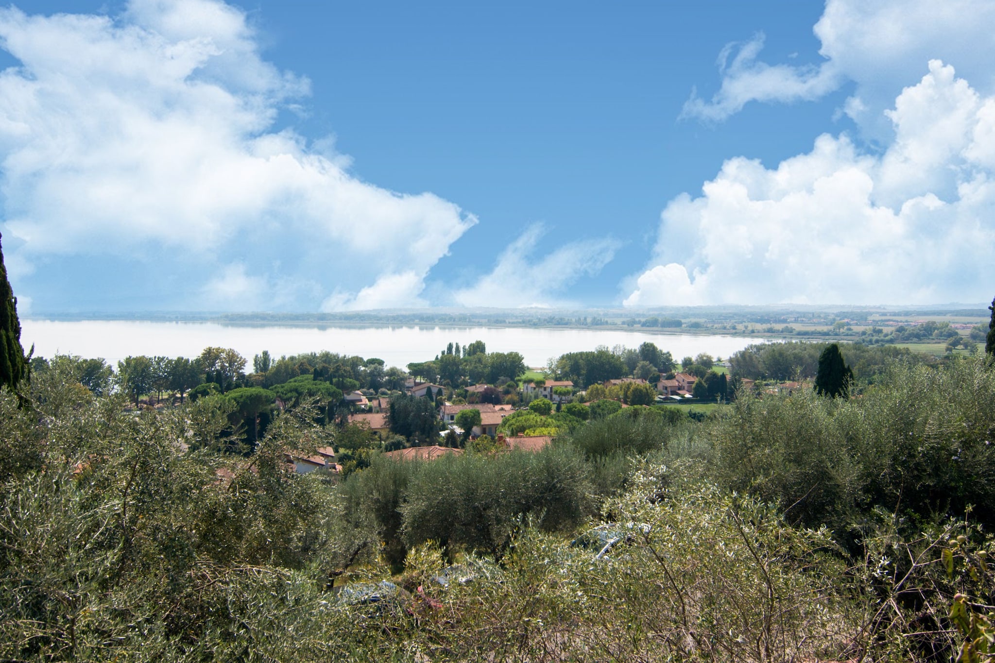 View Summer