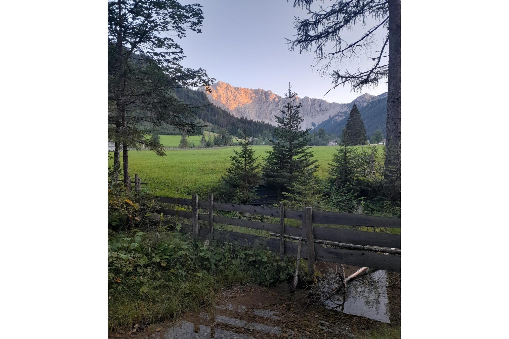 View Summer