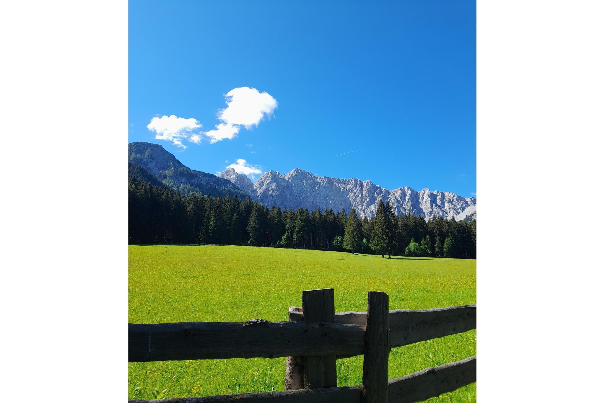 View Summer
