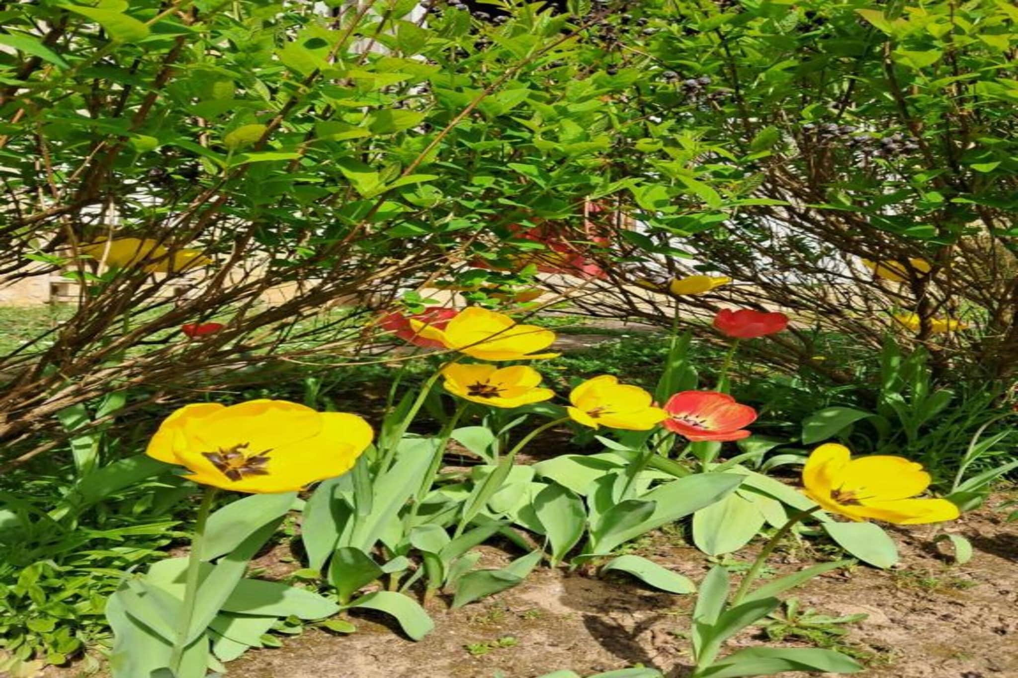 Les Remparts Fleuris-Gebiete Sommer 20 km