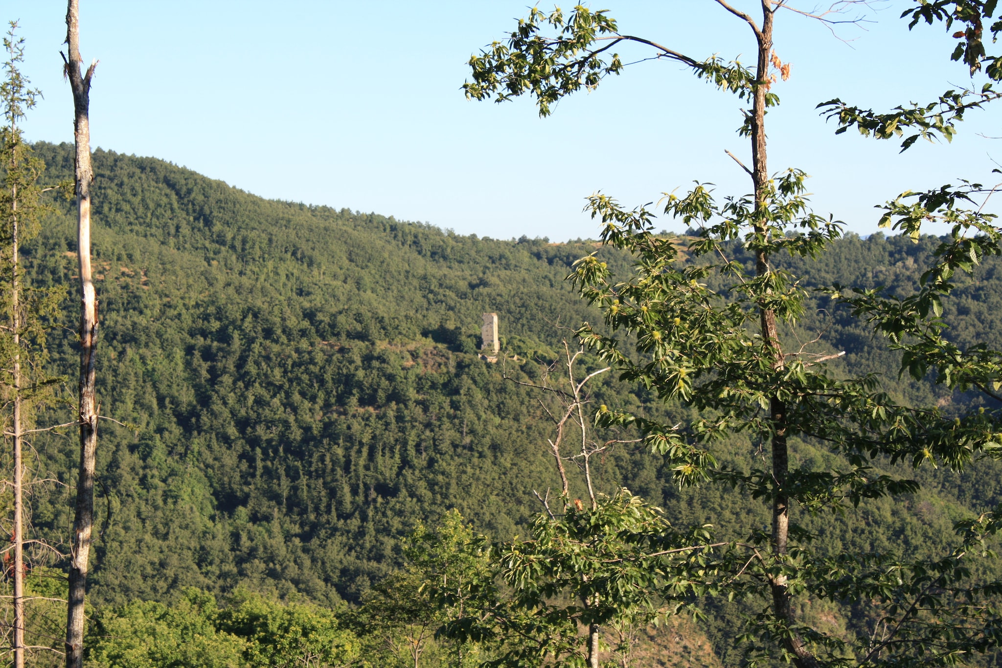 La Terrazza-View summer