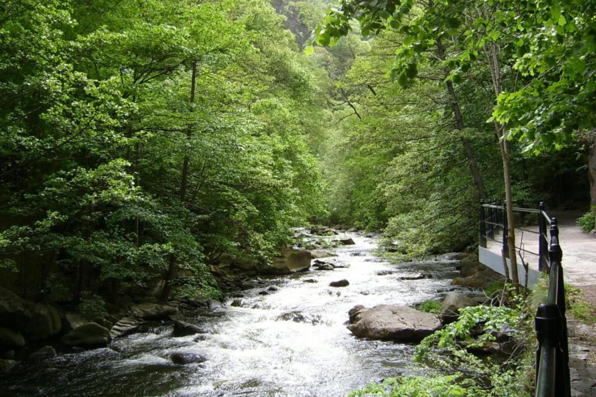 Bodeblick-Gebieden zomer 20km