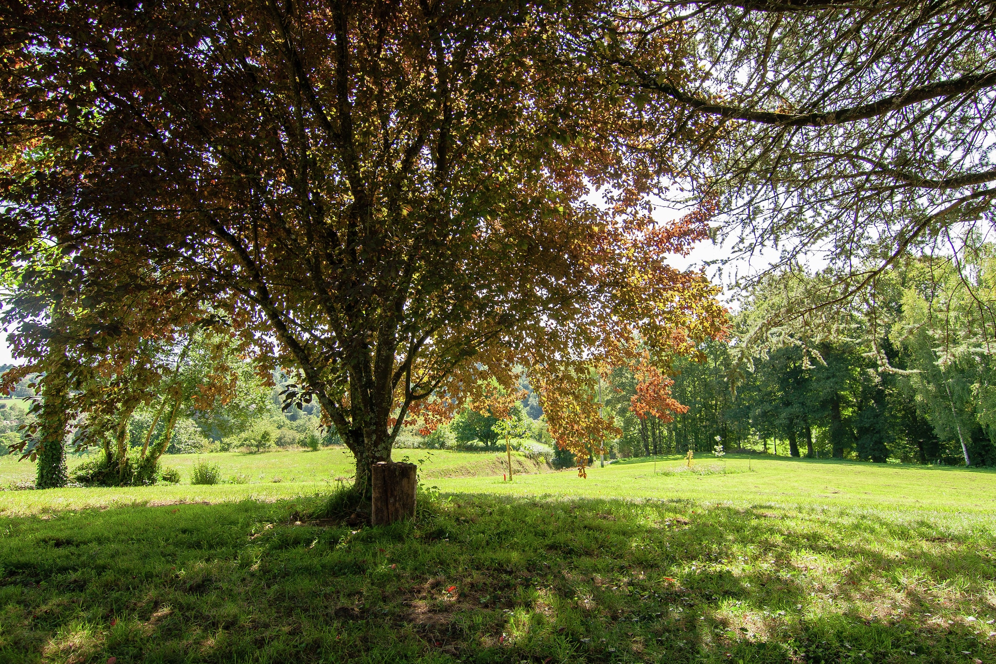 La Bergerie-Tuinen zomer