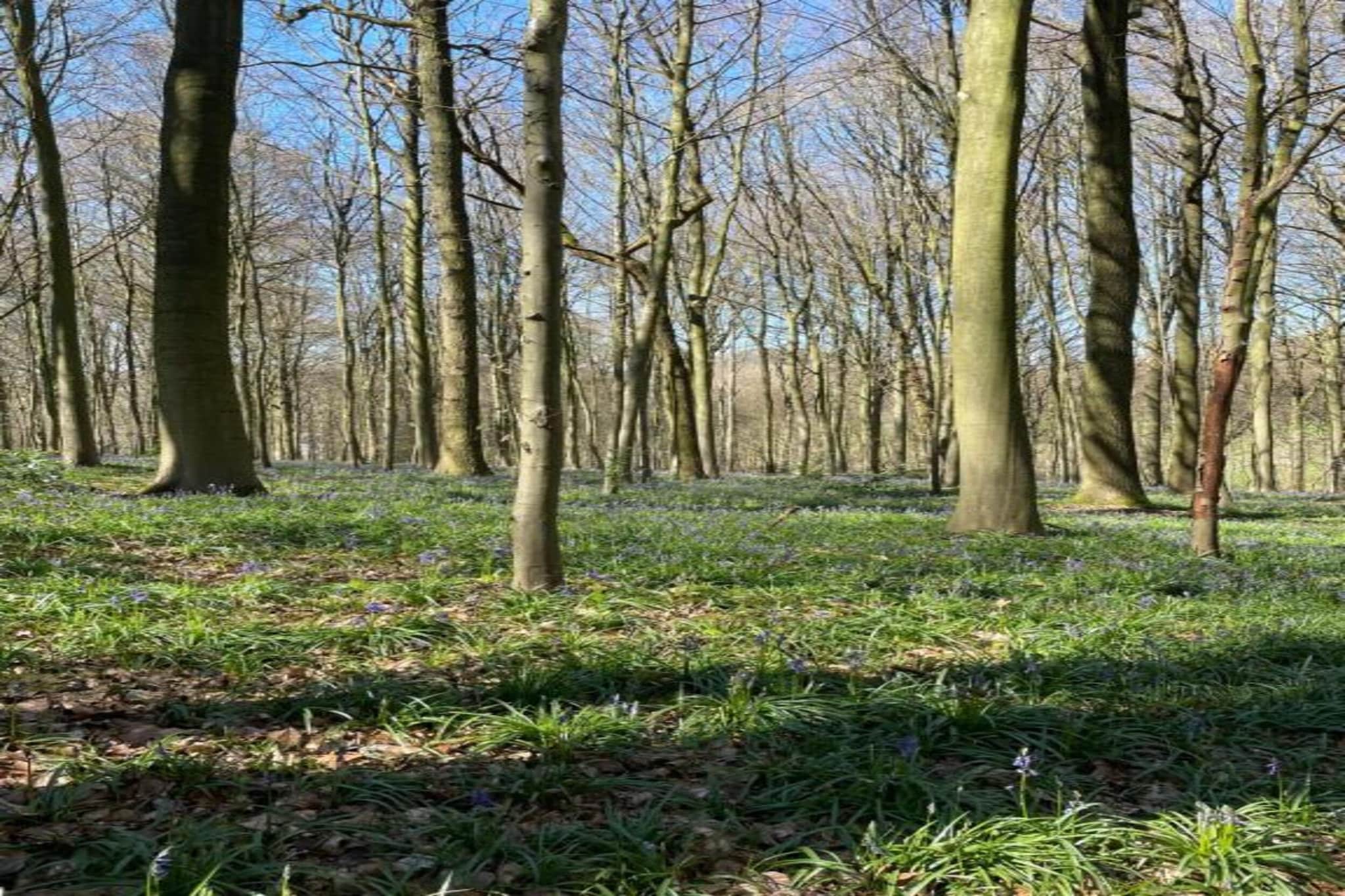 Les Tropiques-Gebieden zomer 20km