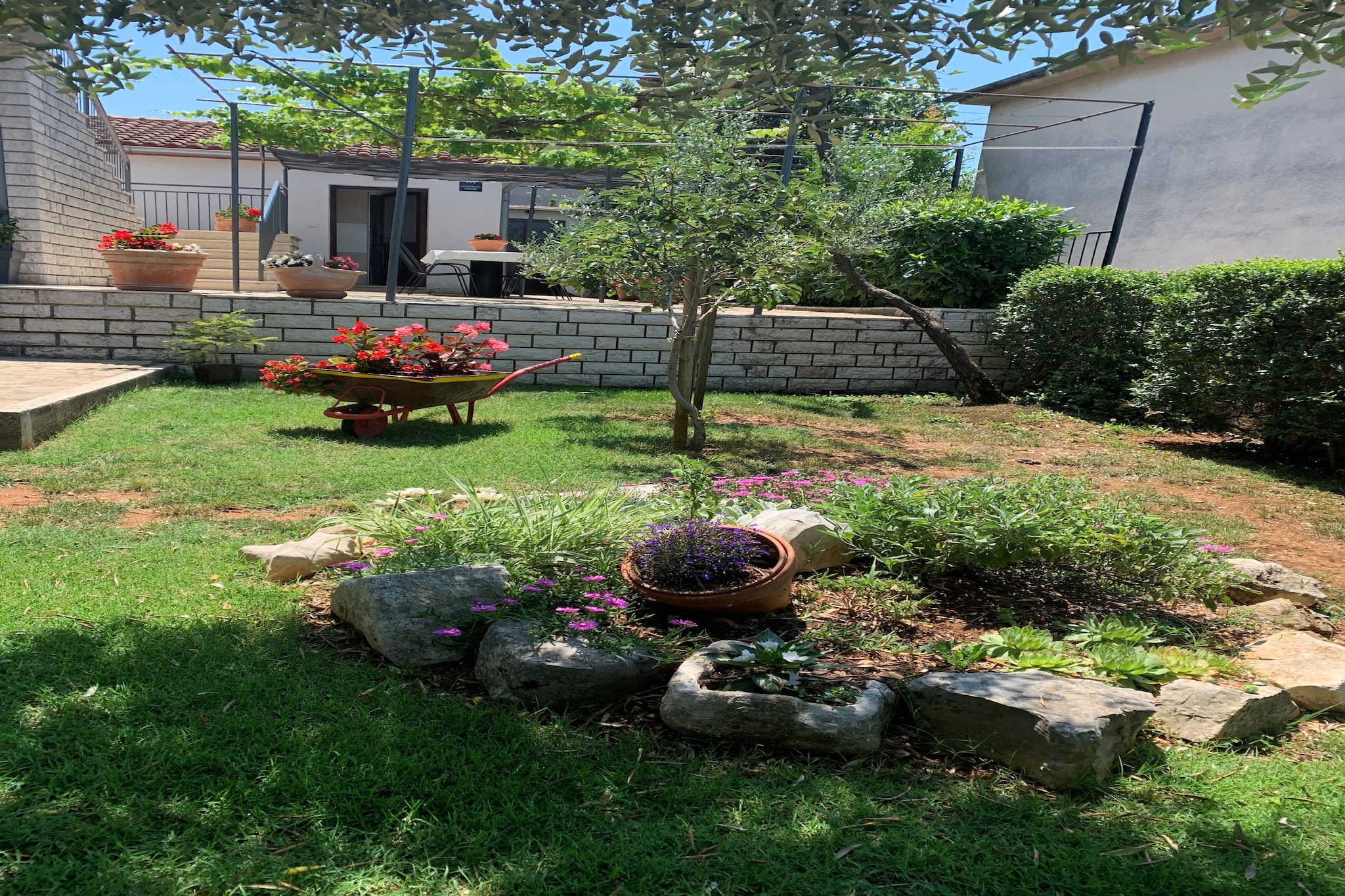 Garden Summer