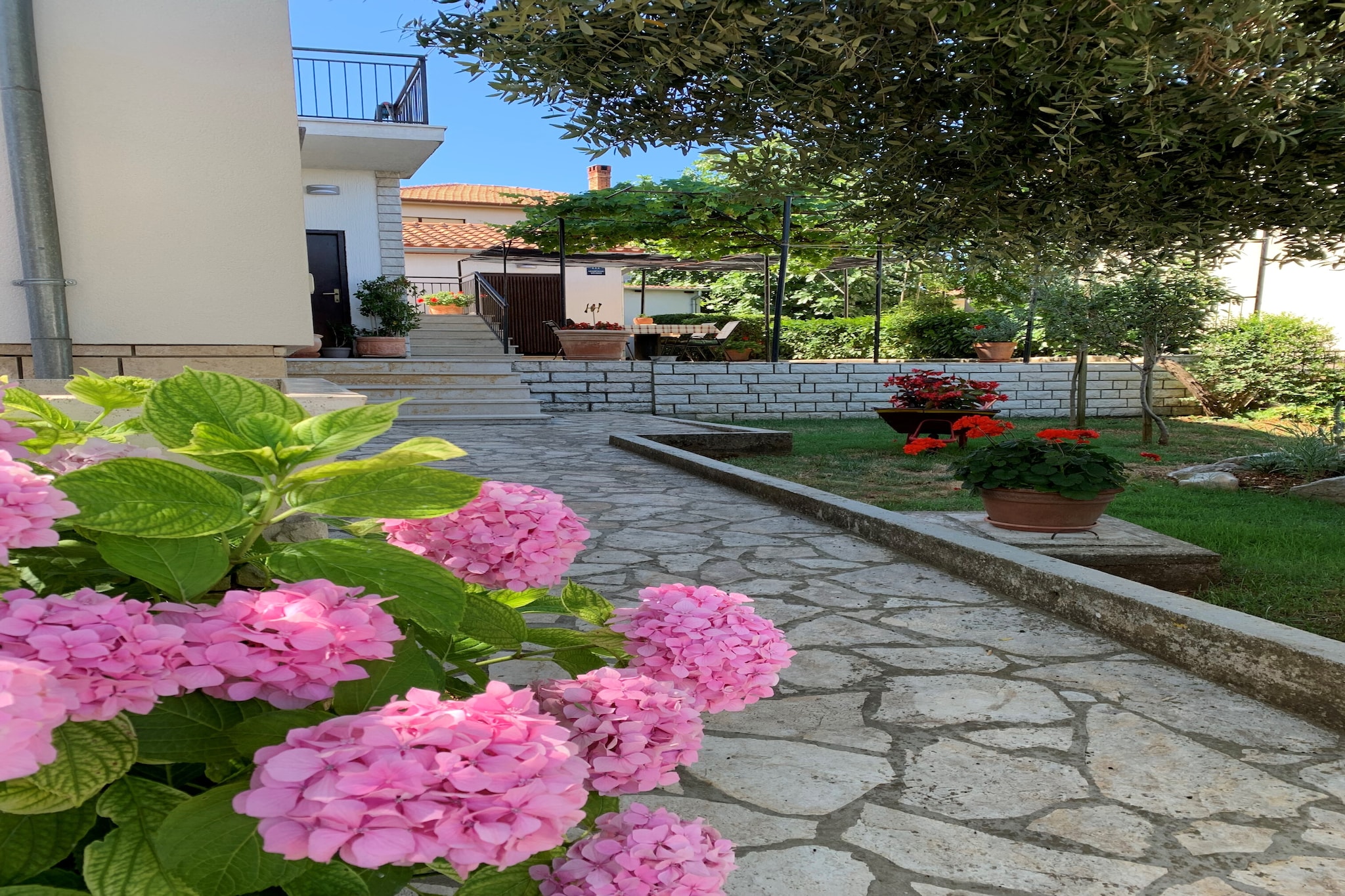 Exterior Summer