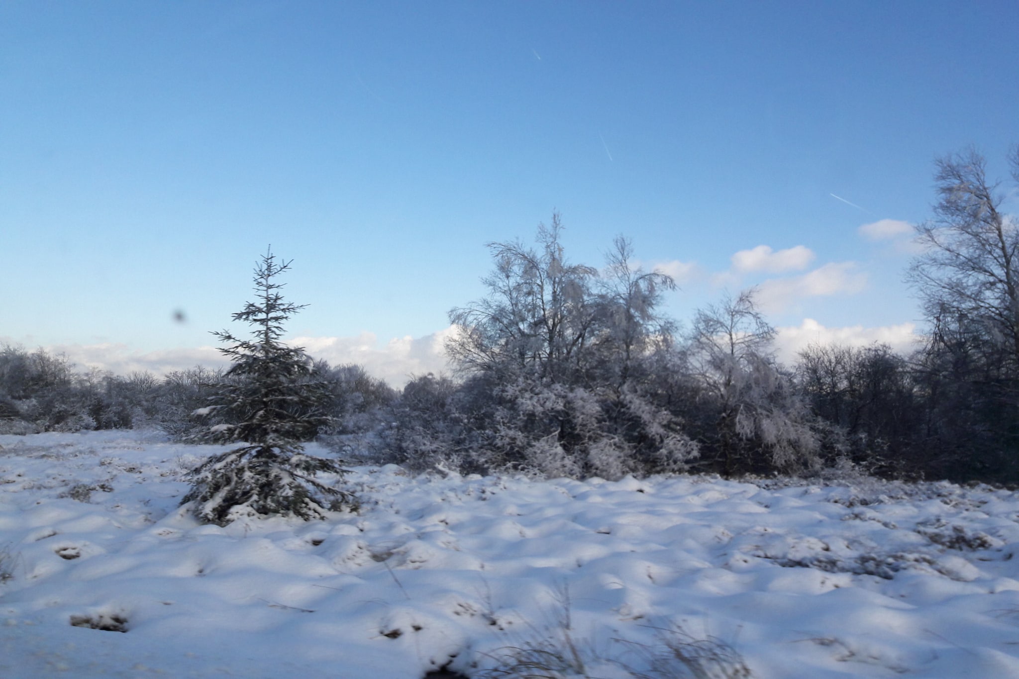 Canneberge-Gebiet Winter 20 km
