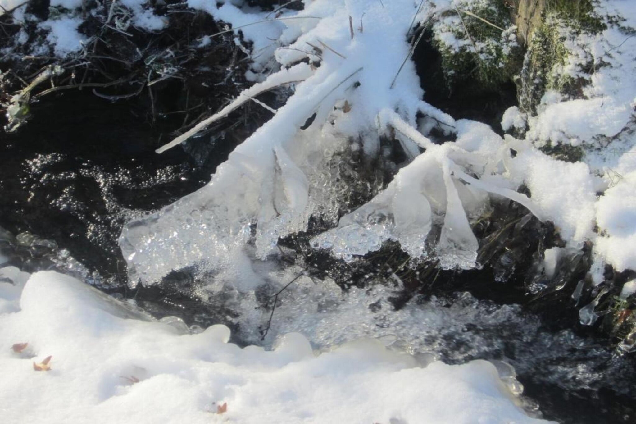 Im Sauerland-Sfeer