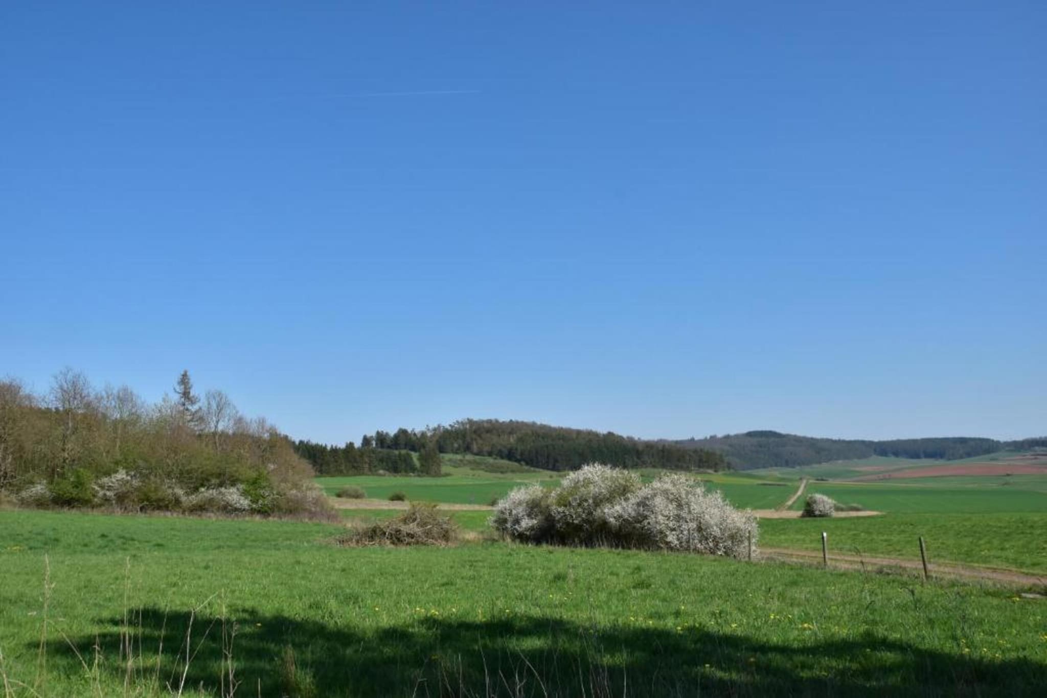 Im Sauerland-Sfeer