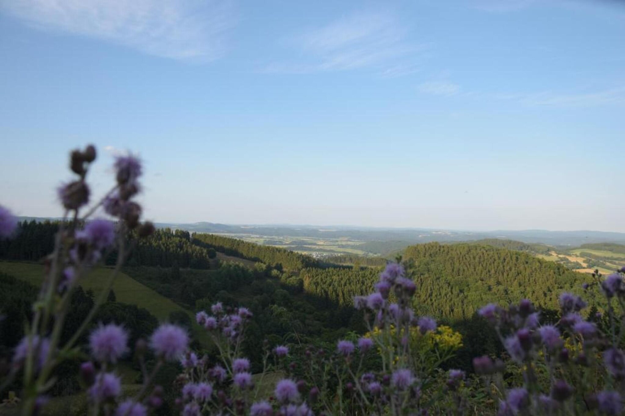 Im Sauerland-Gebieden zomer 20km