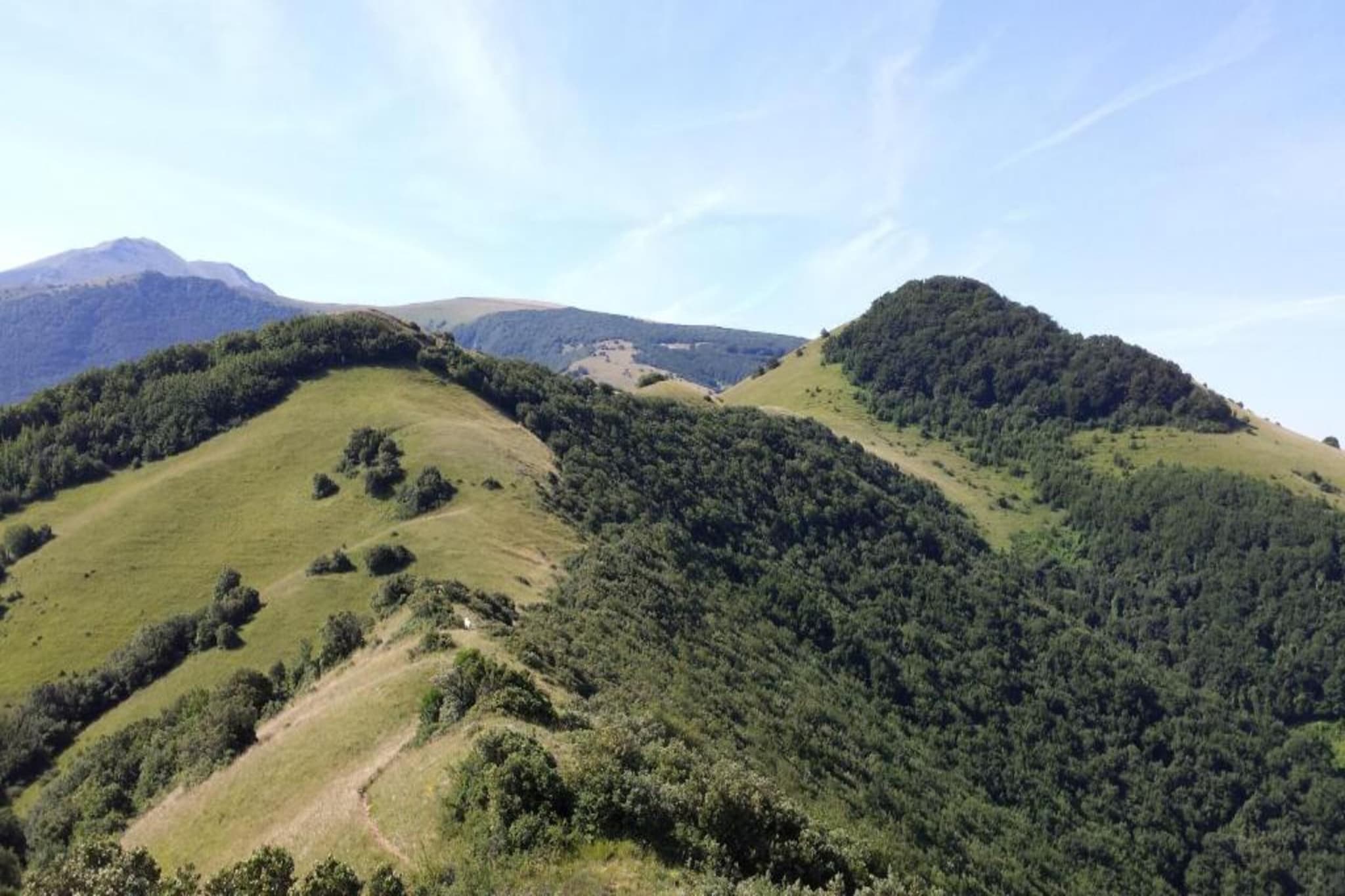 Lupo-Gebieden zomer 20km