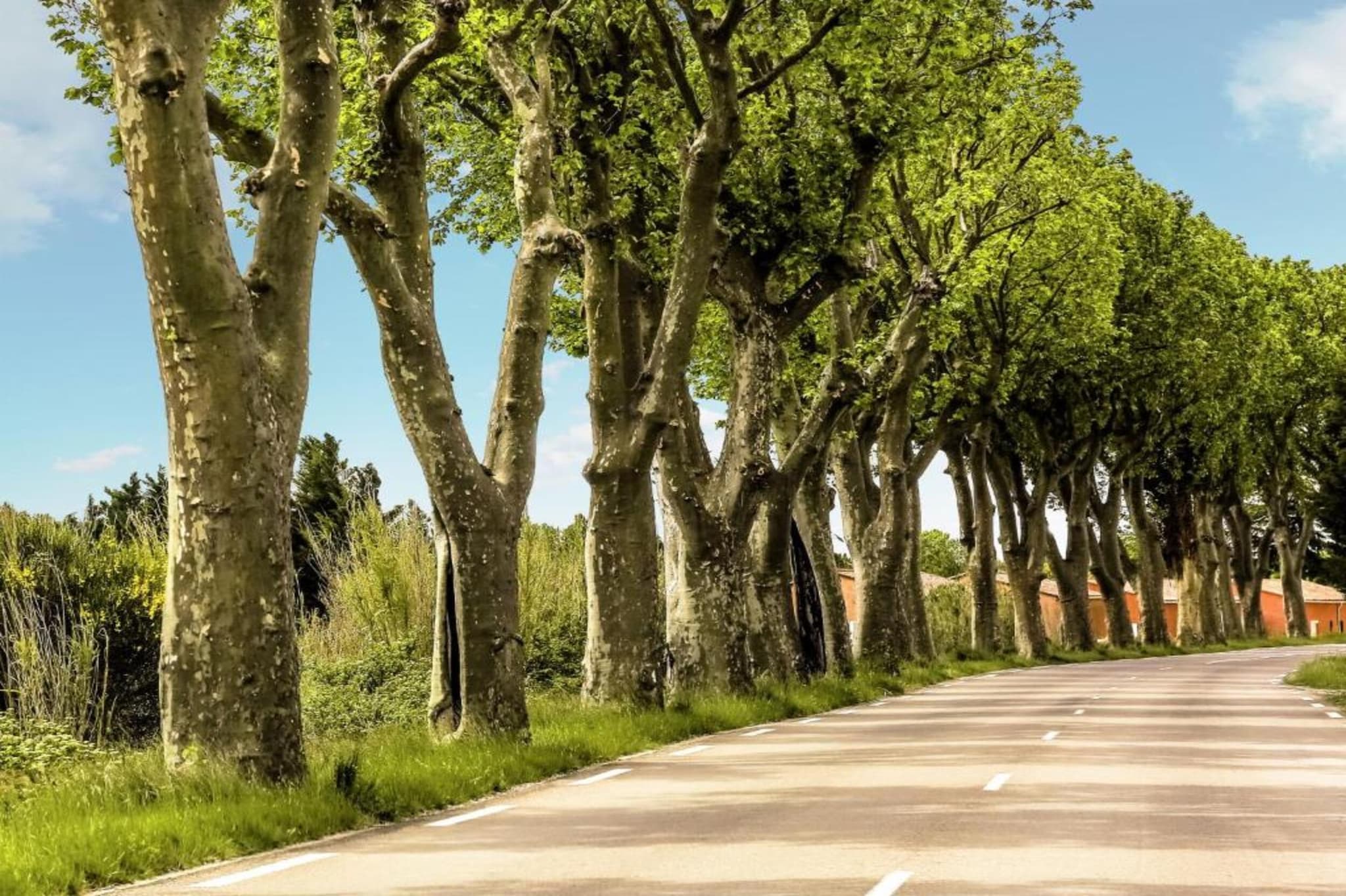 Villa Vida-Gebieden zomer 20km