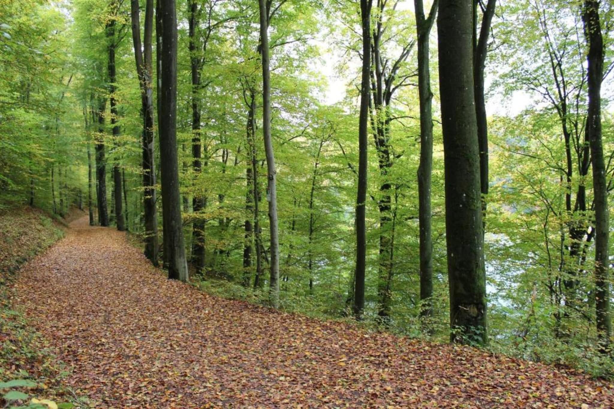 Rosenherz-Gebieden zomer 20km