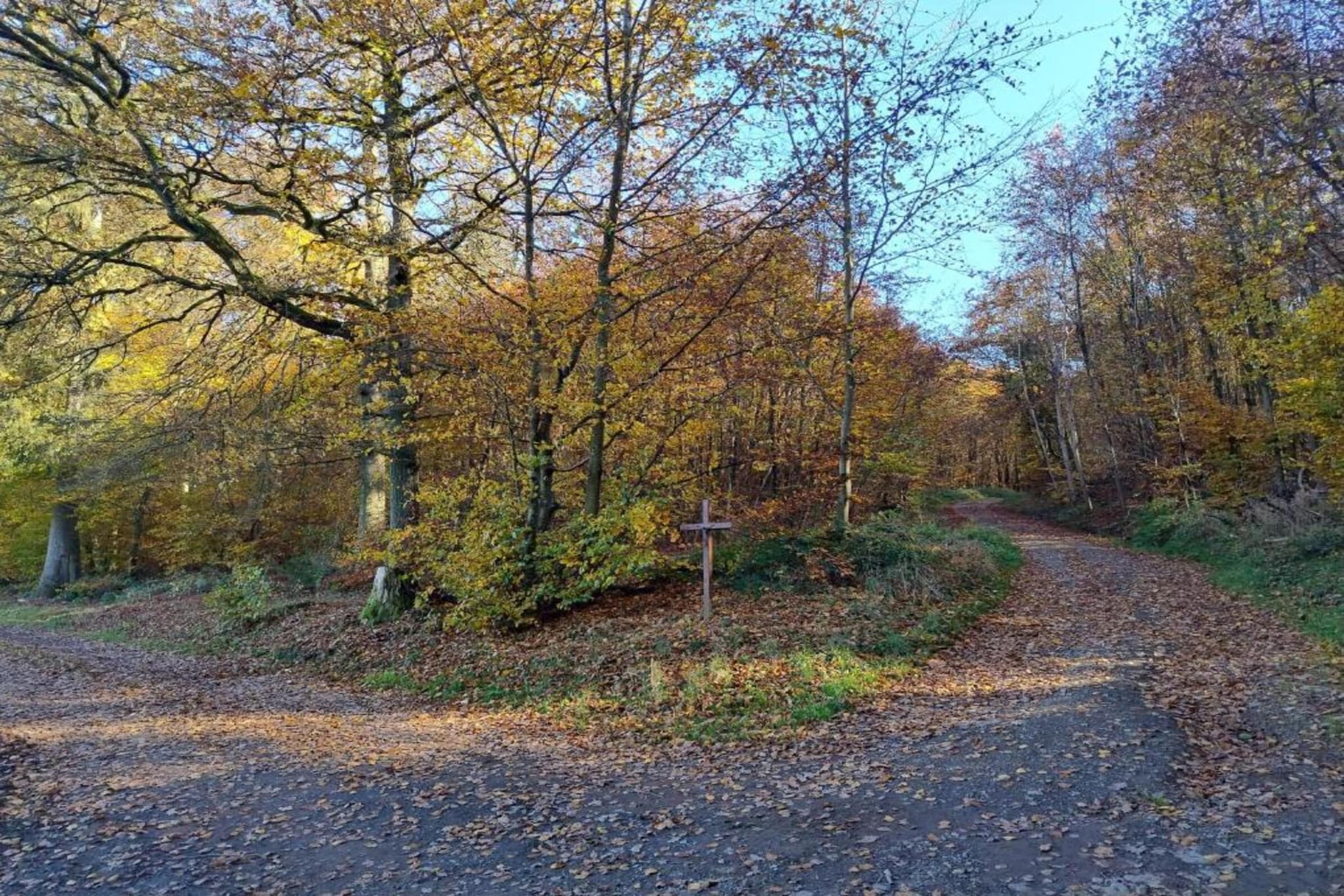 Rosenherz-Gebieden zomer 20km