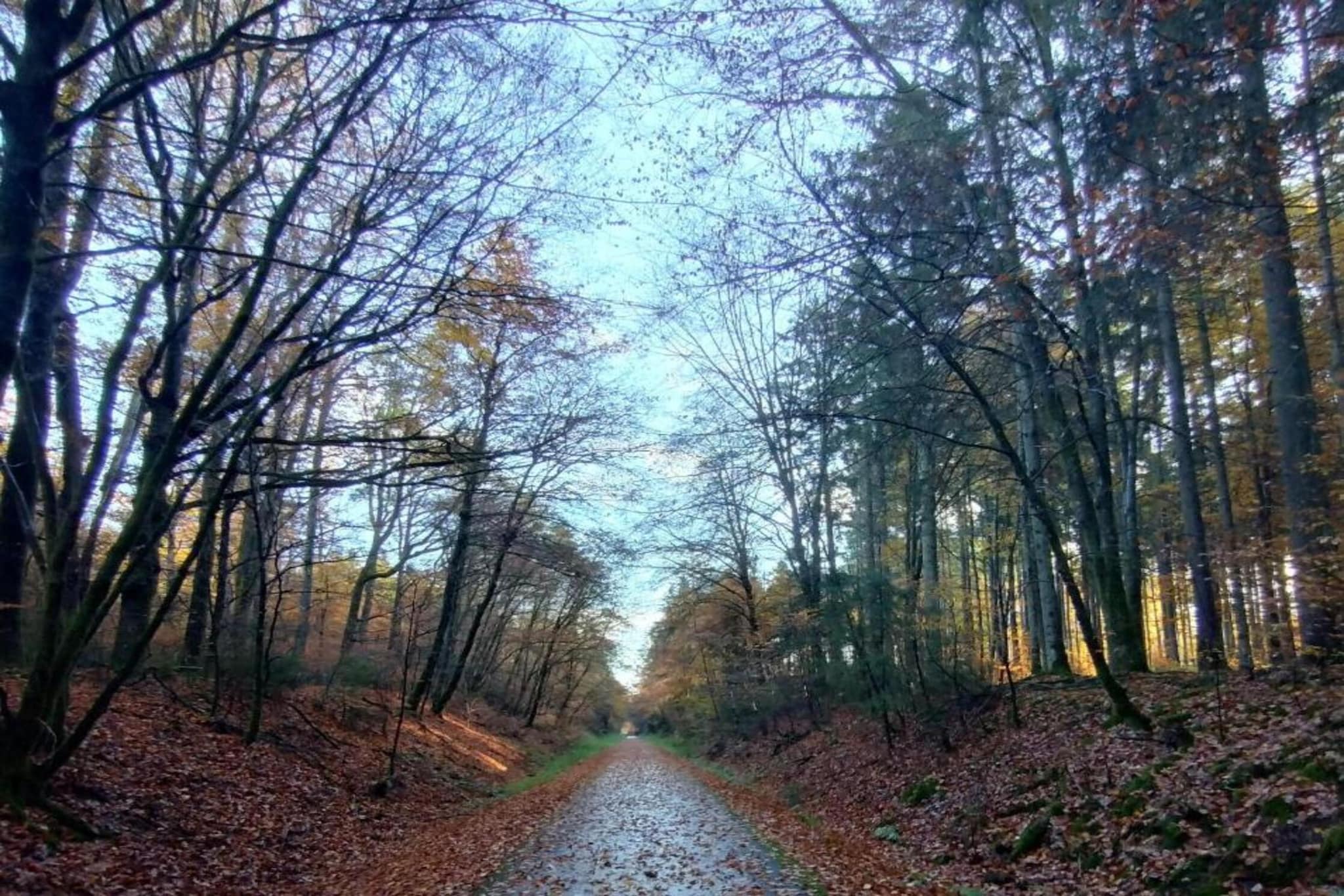 Rosenherz-Gebieden zomer 20km