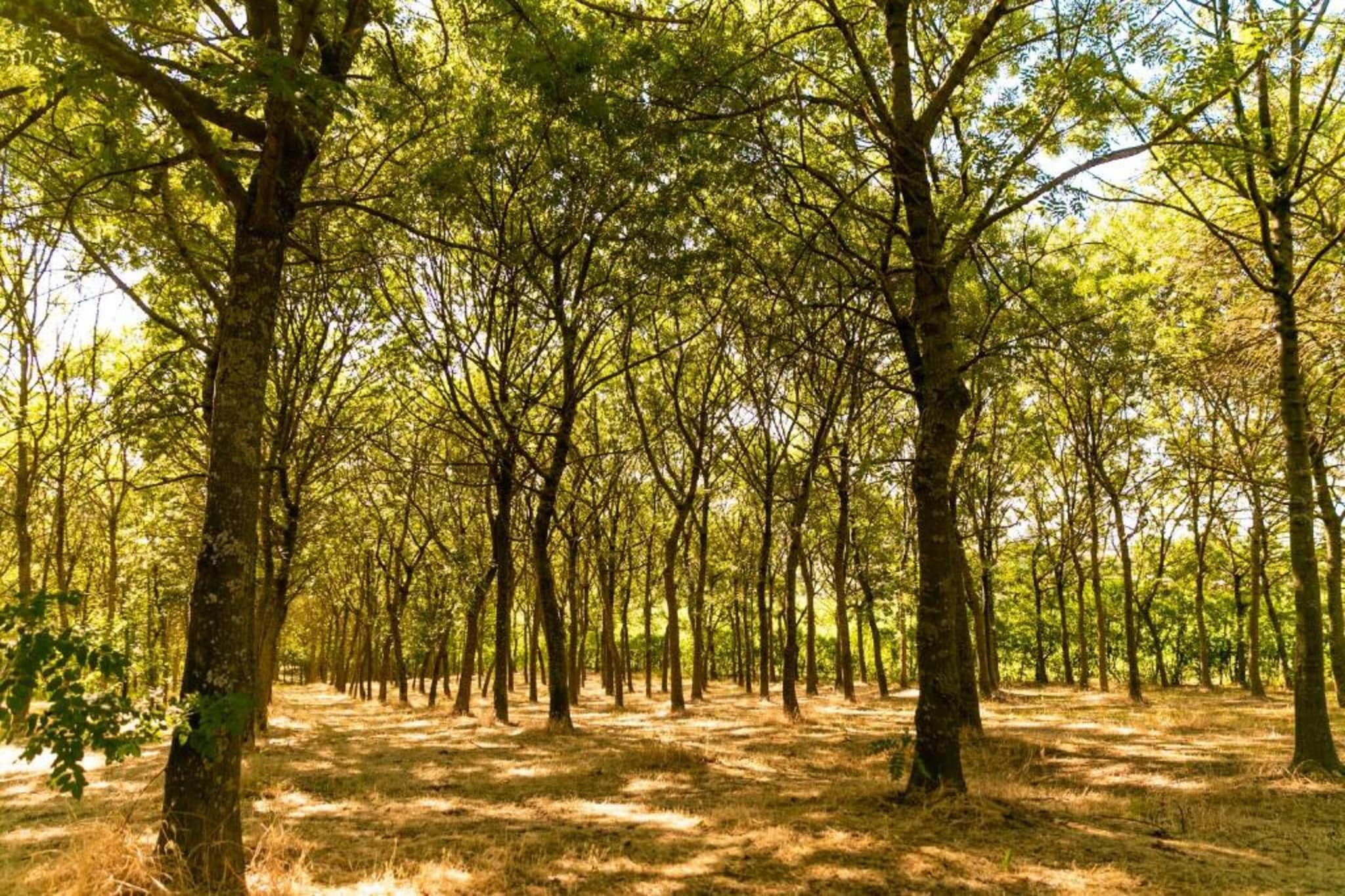 Campo Quattro-Zones d'été à 20 km