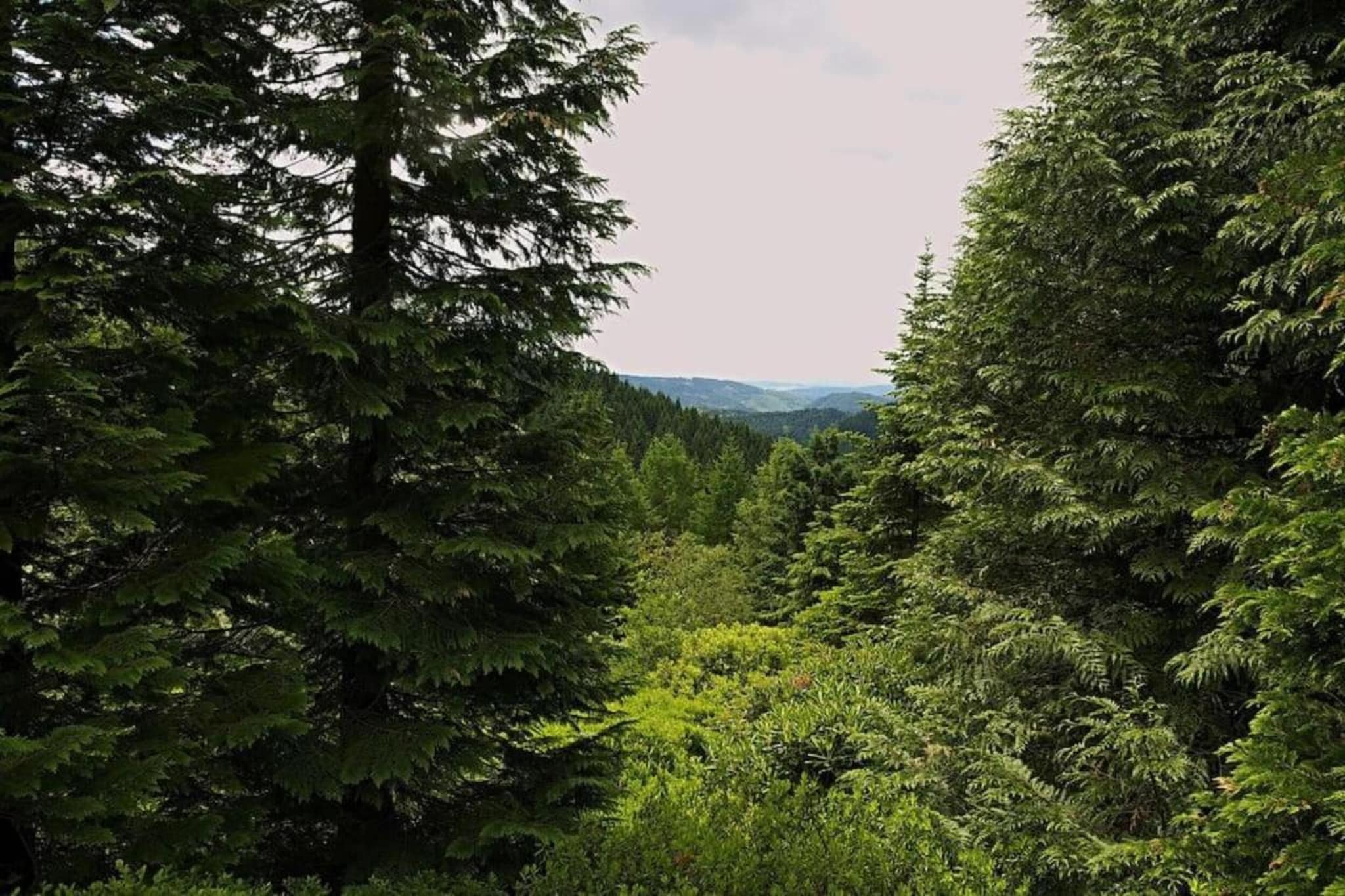 Langewiesen-Zones d'été à 5 km