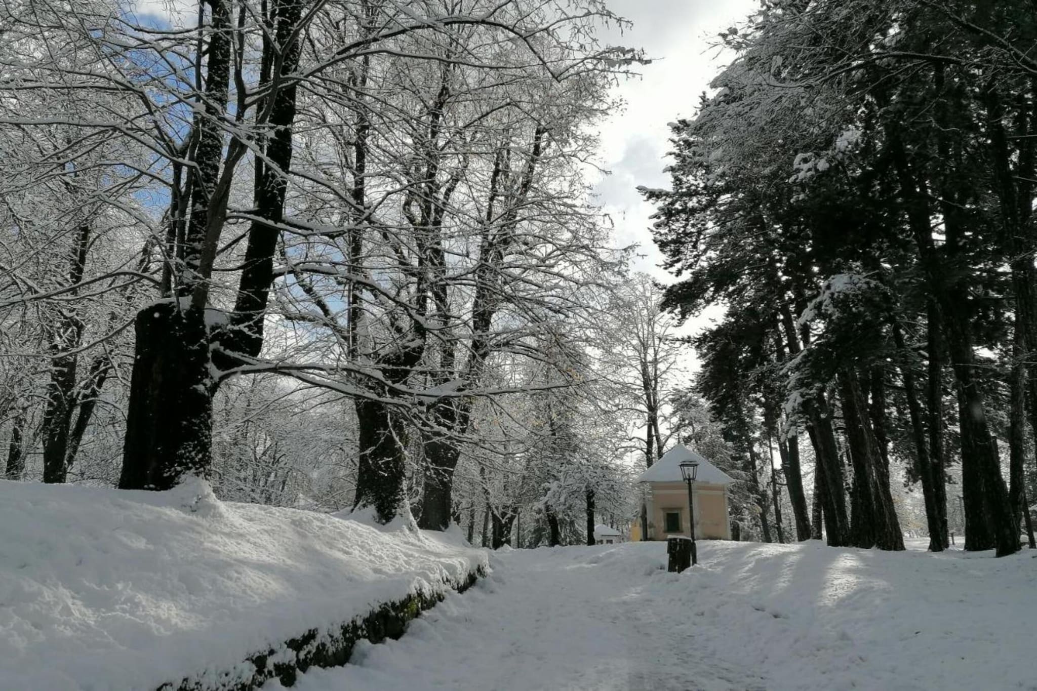 Le Plejadi Bilo 2 sr-Gebied winter 20km