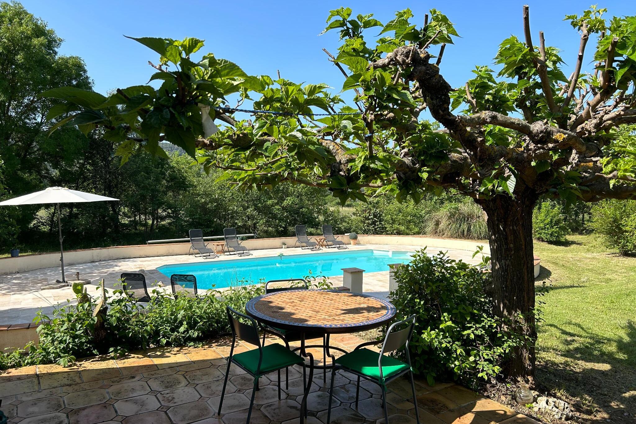 Comfortabel vrijstaand vakantiehuis met grote tuin van ca. 1 ha en privézwembad
