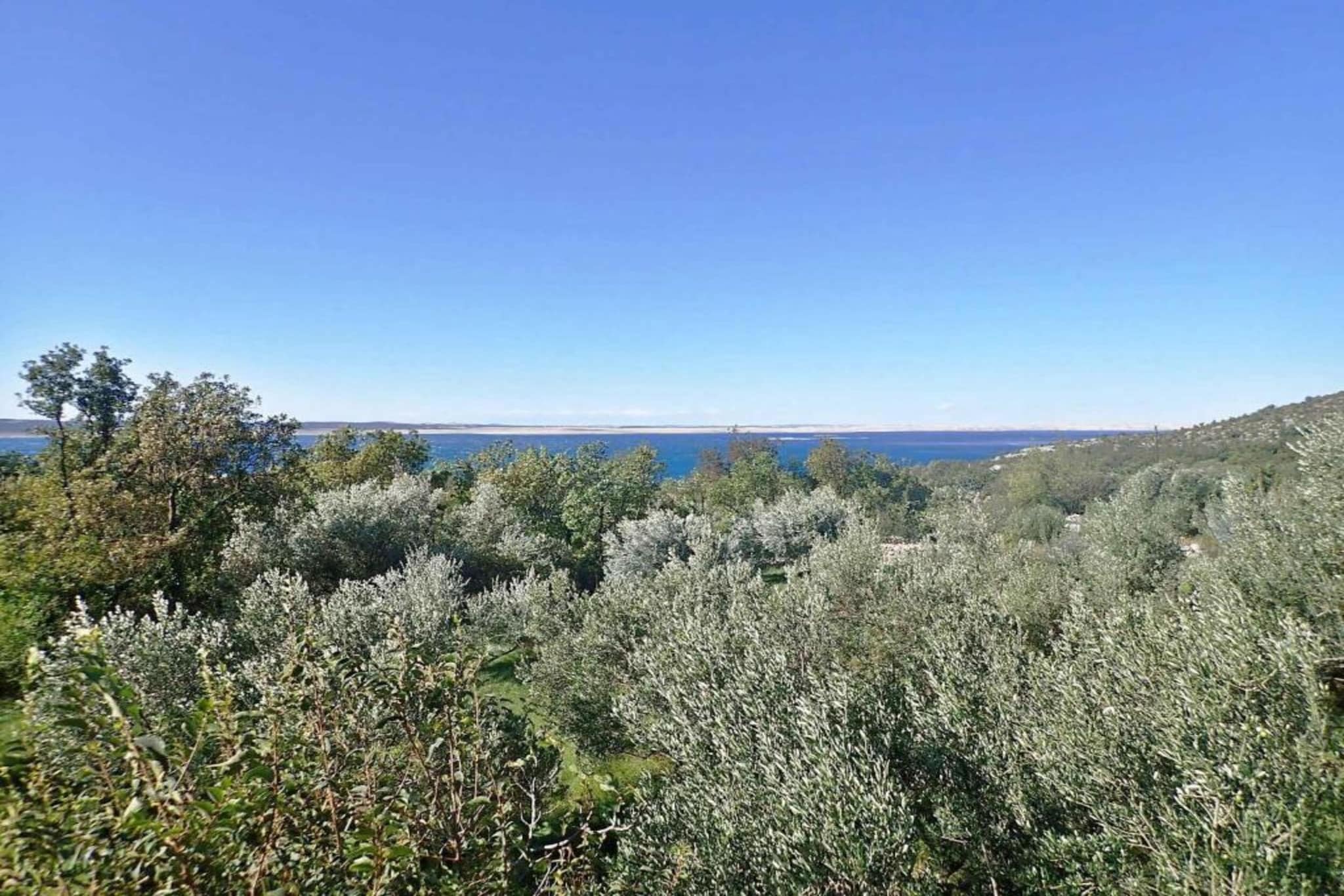 Studio apartment Paklenica-Gebieden zomer 1km